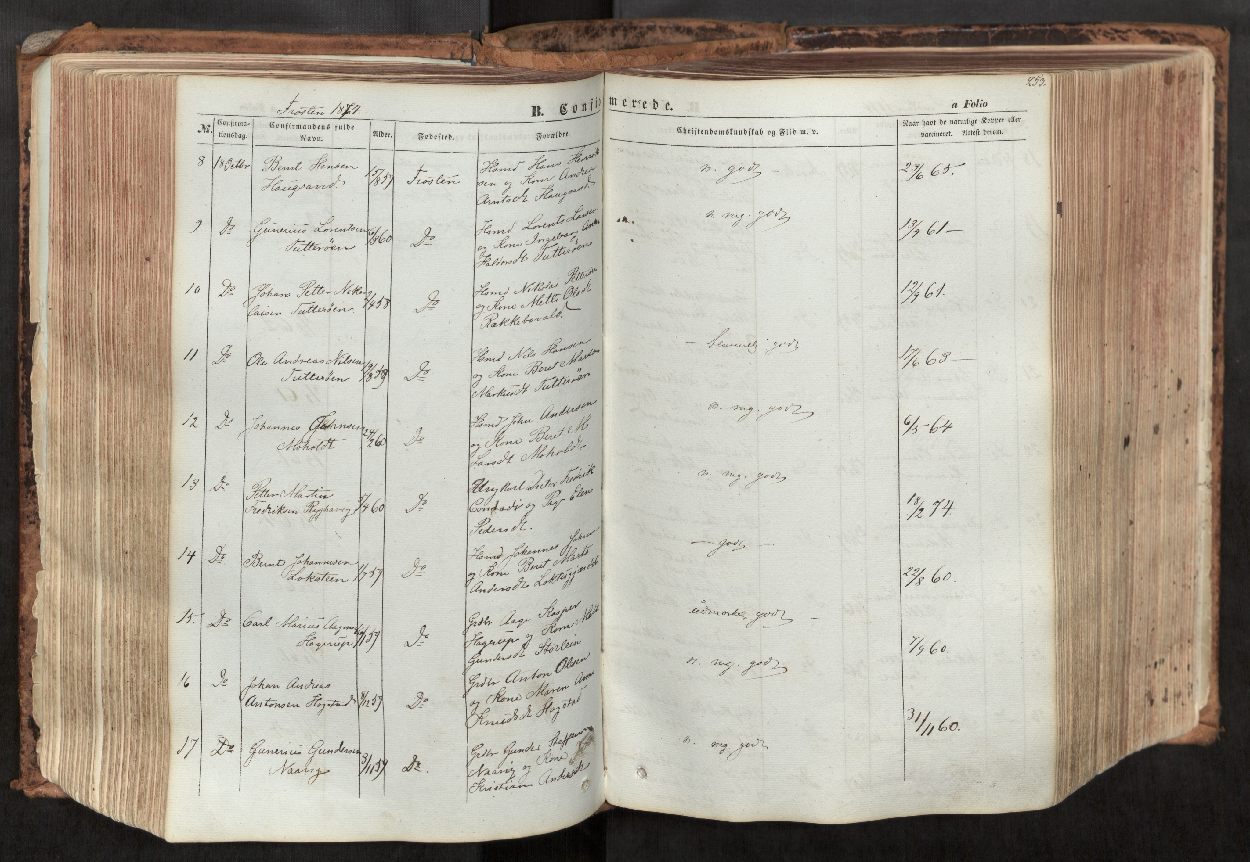Ministerialprotokoller, klokkerbøker og fødselsregistre - Nord-Trøndelag, SAT/A-1458/713/L0116: Parish register (official) no. 713A07, 1850-1877, p. 253