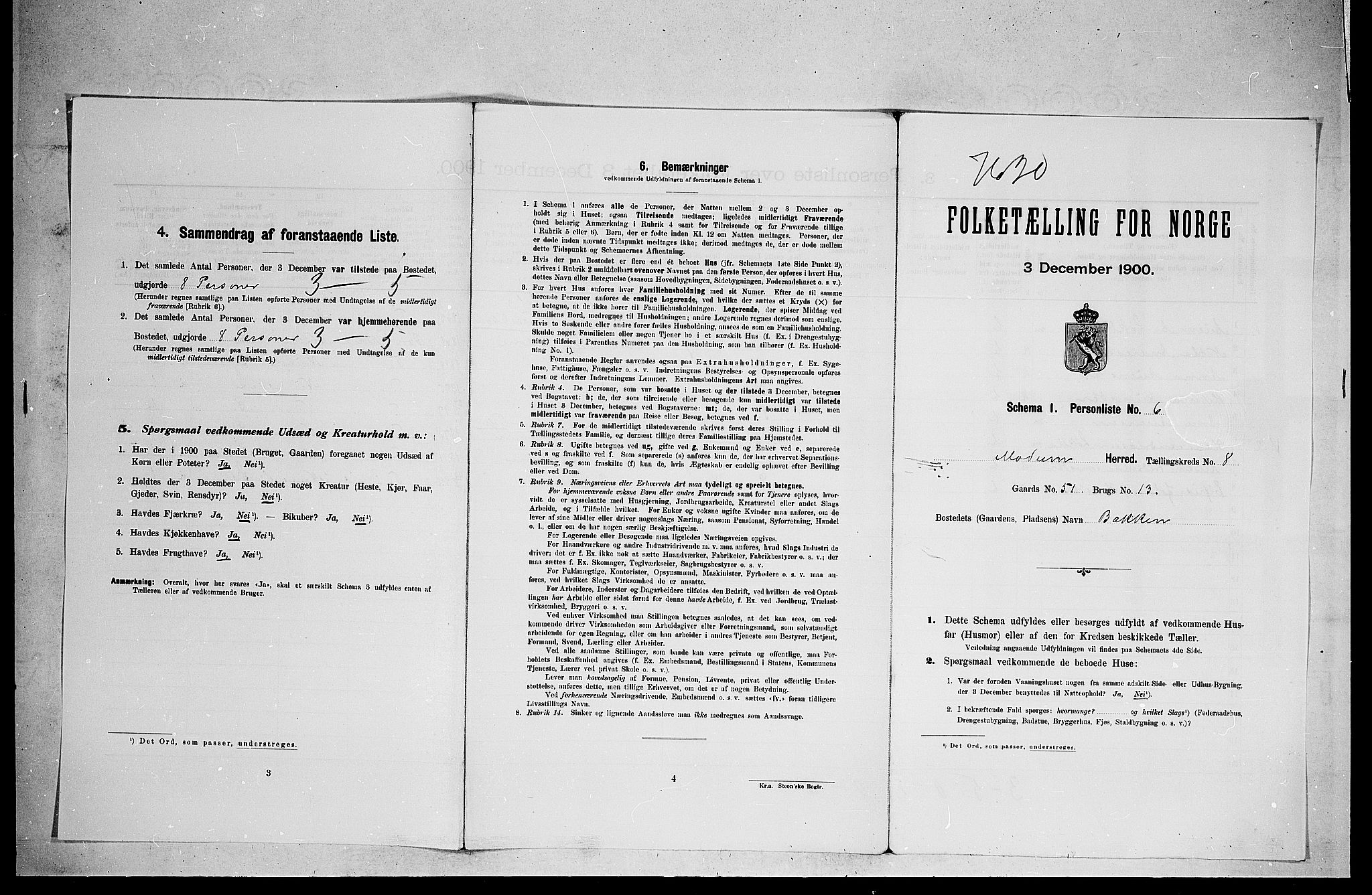 RA, 1900 census for Modum, 1900, p. 916