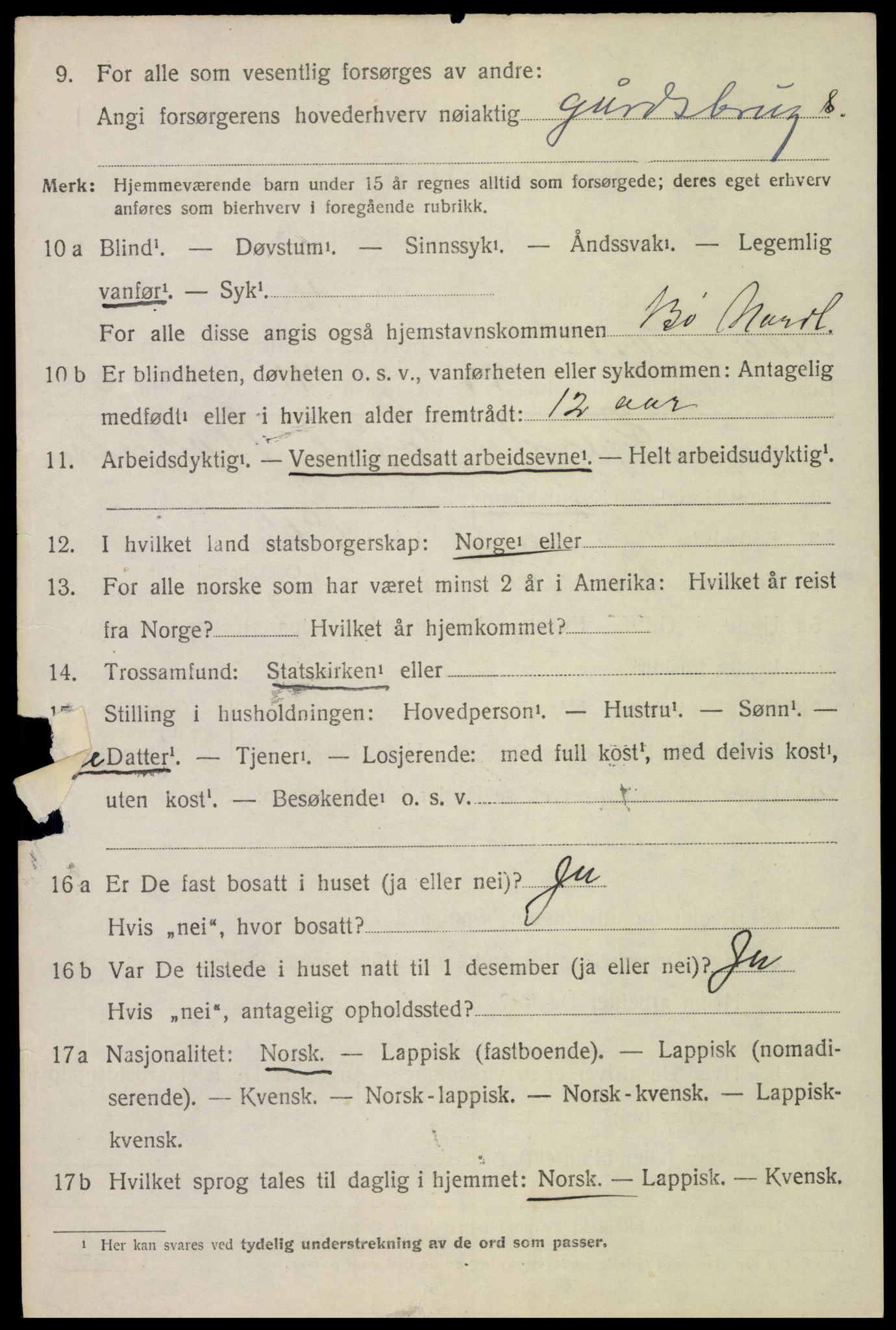 SAT, 1920 census for Bø, 1920, p. 9551