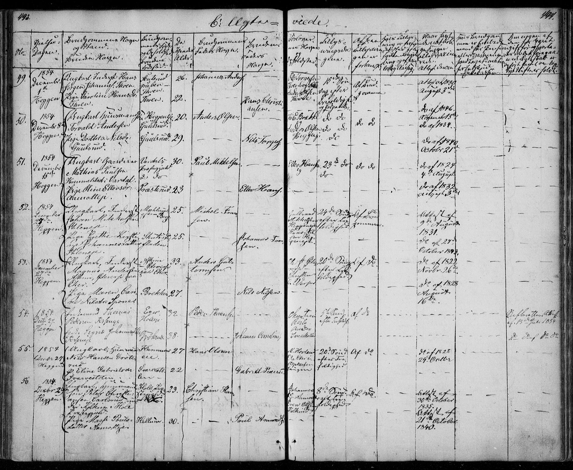 Modum kirkebøker, AV/SAKO-A-234/F/Fa/L0008: Parish register (official) no. 8, 1851-1859, p. 493-494