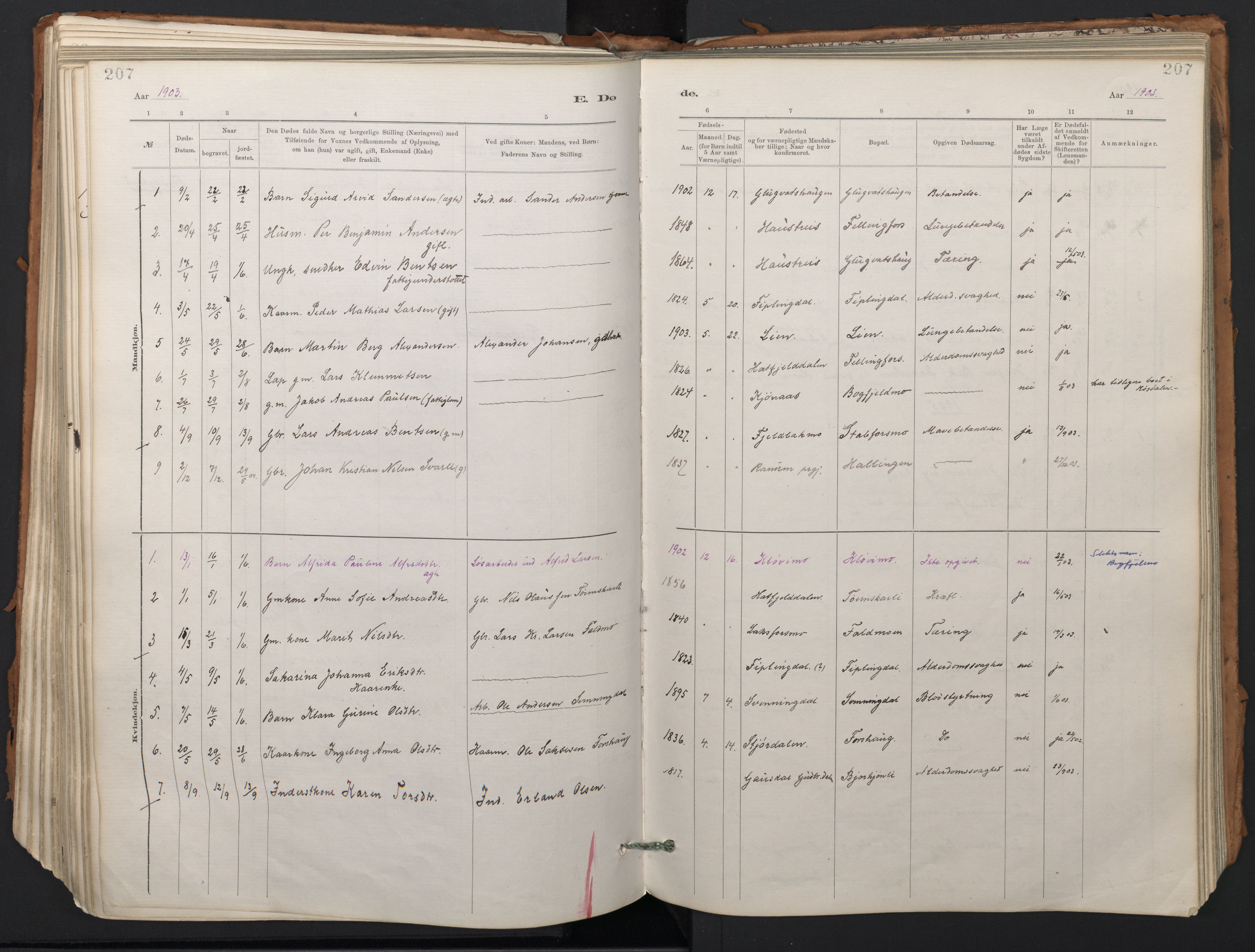 Ministerialprotokoller, klokkerbøker og fødselsregistre - Nordland, SAT/A-1459/824/L0338: Parish register (official) no. 824A01, 1880-1915, p. 207