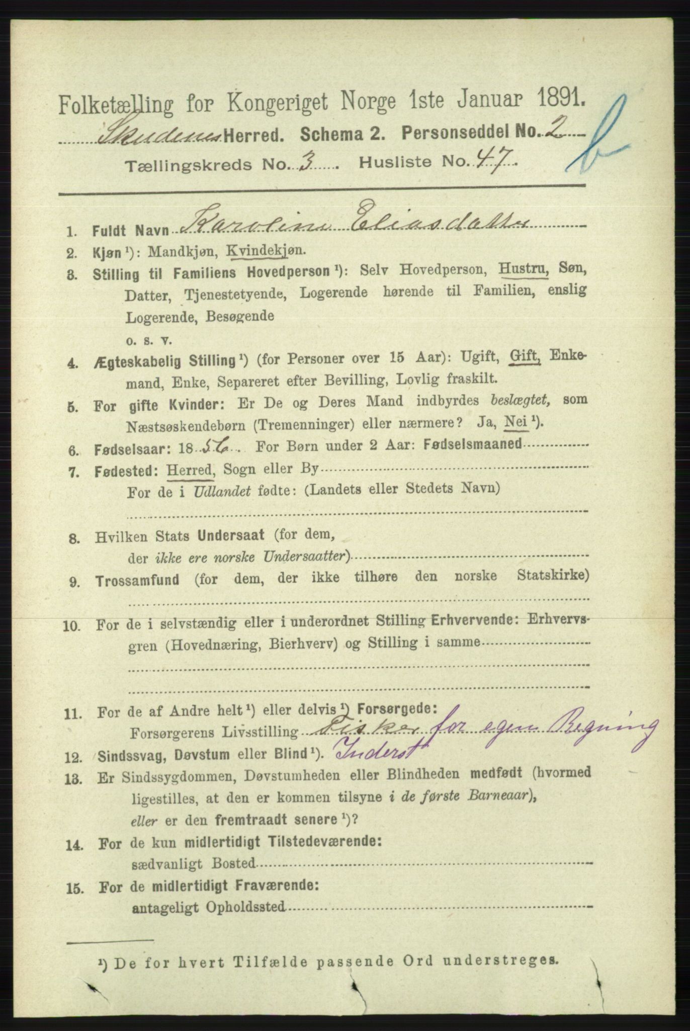 RA, 1891 census for 1150 Skudenes, 1891, p. 4242