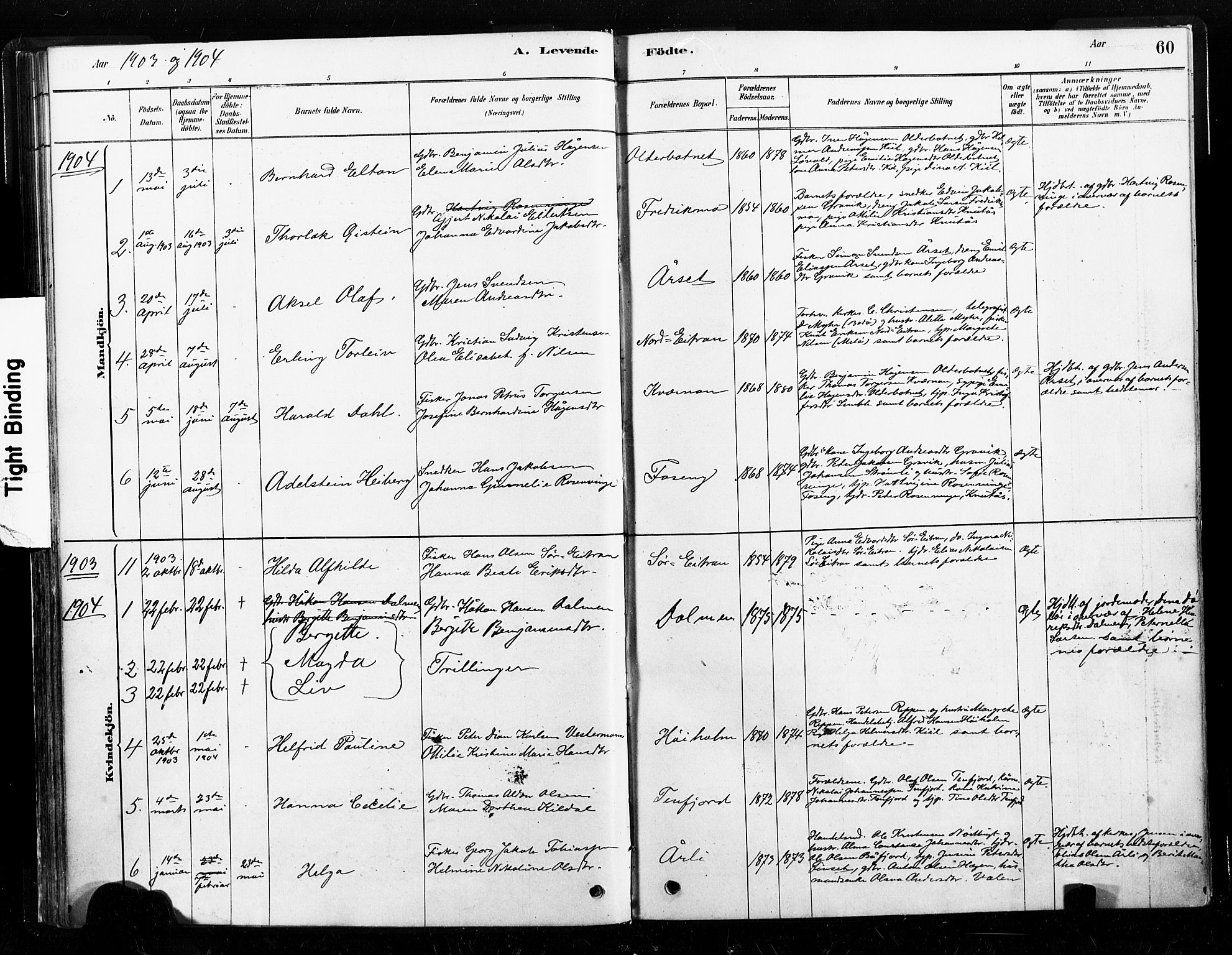 Ministerialprotokoller, klokkerbøker og fødselsregistre - Nord-Trøndelag, SAT/A-1458/789/L0705: Parish register (official) no. 789A01, 1878-1910, p. 60