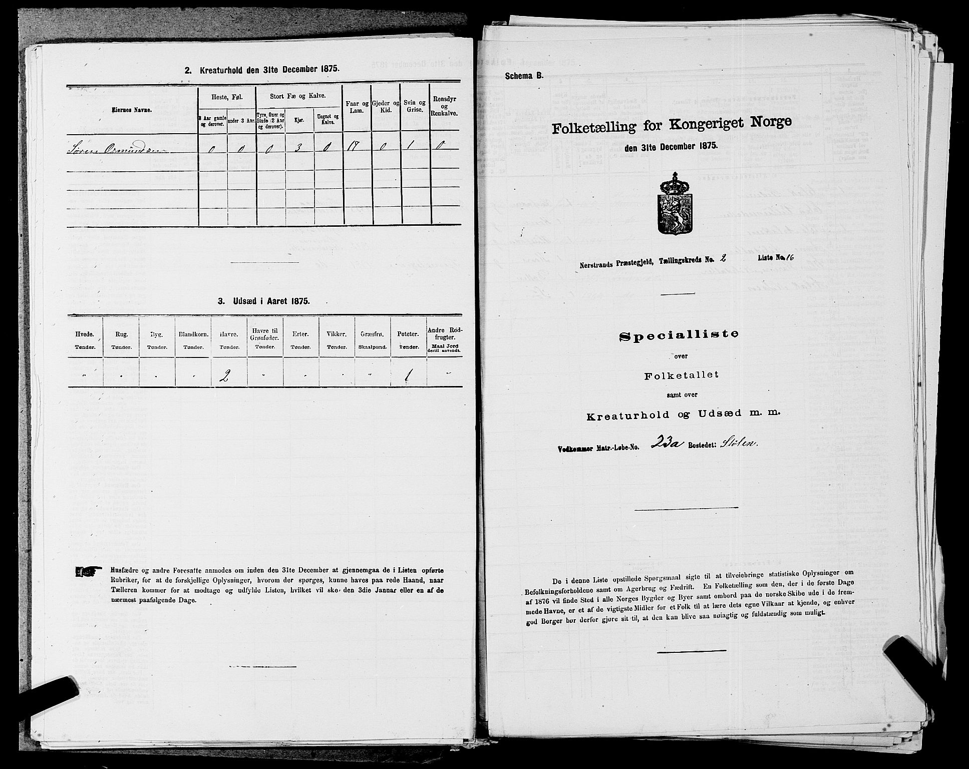 SAST, 1875 census for 1139P Nedstrand, 1875, p. 579