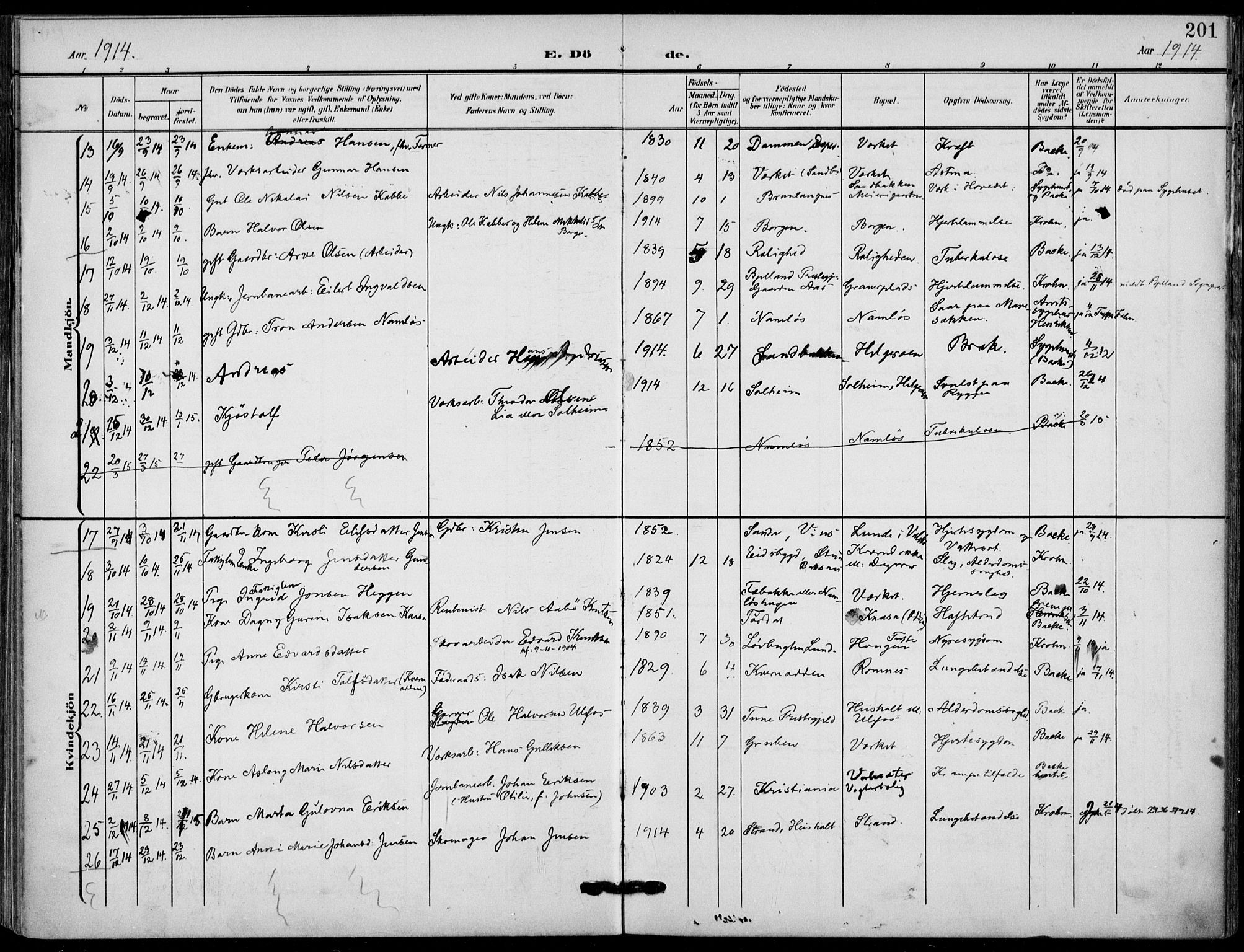 Holla kirkebøker, SAKO/A-272/F/Fa/L0012: Parish register (official) no. 12, 1907-1923, p. 201