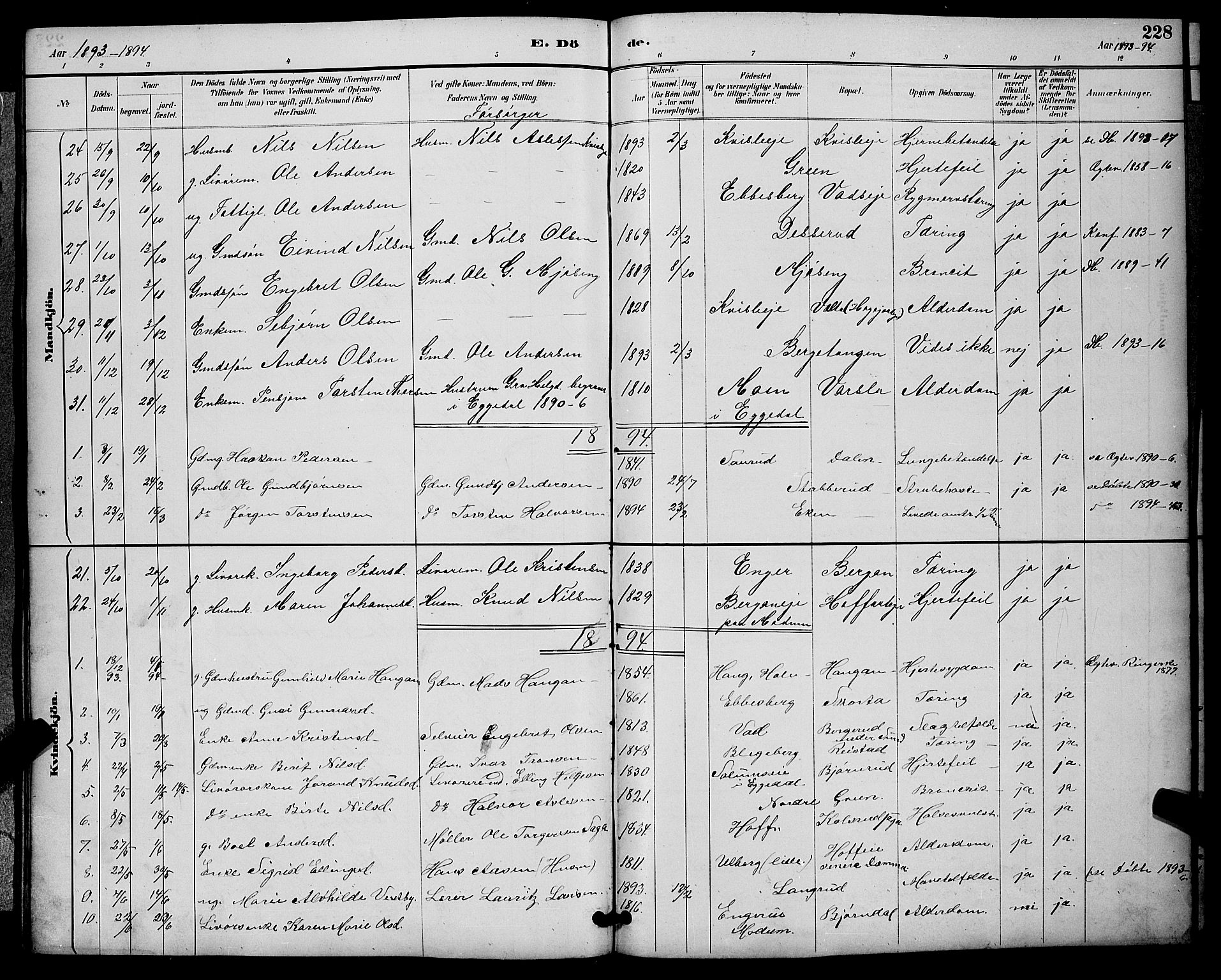 Sigdal kirkebøker, SAKO/A-245/G/Ga/L0005: Parish register (copy) no. I 5, 1886-1900, p. 228