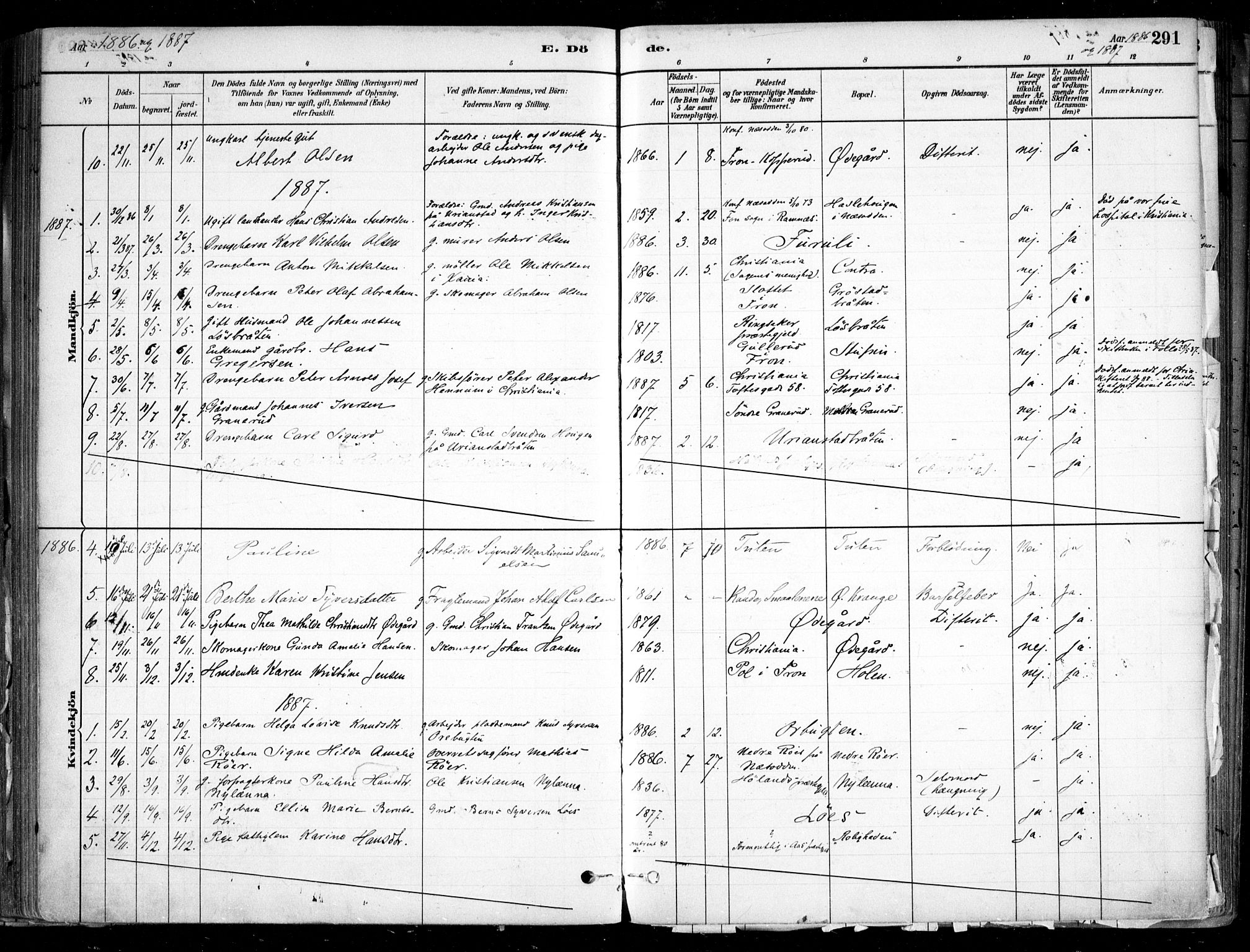Nesodden prestekontor Kirkebøker, SAO/A-10013/F/Fa/L0009: Parish register (official) no. I 9, 1880-1915, p. 291