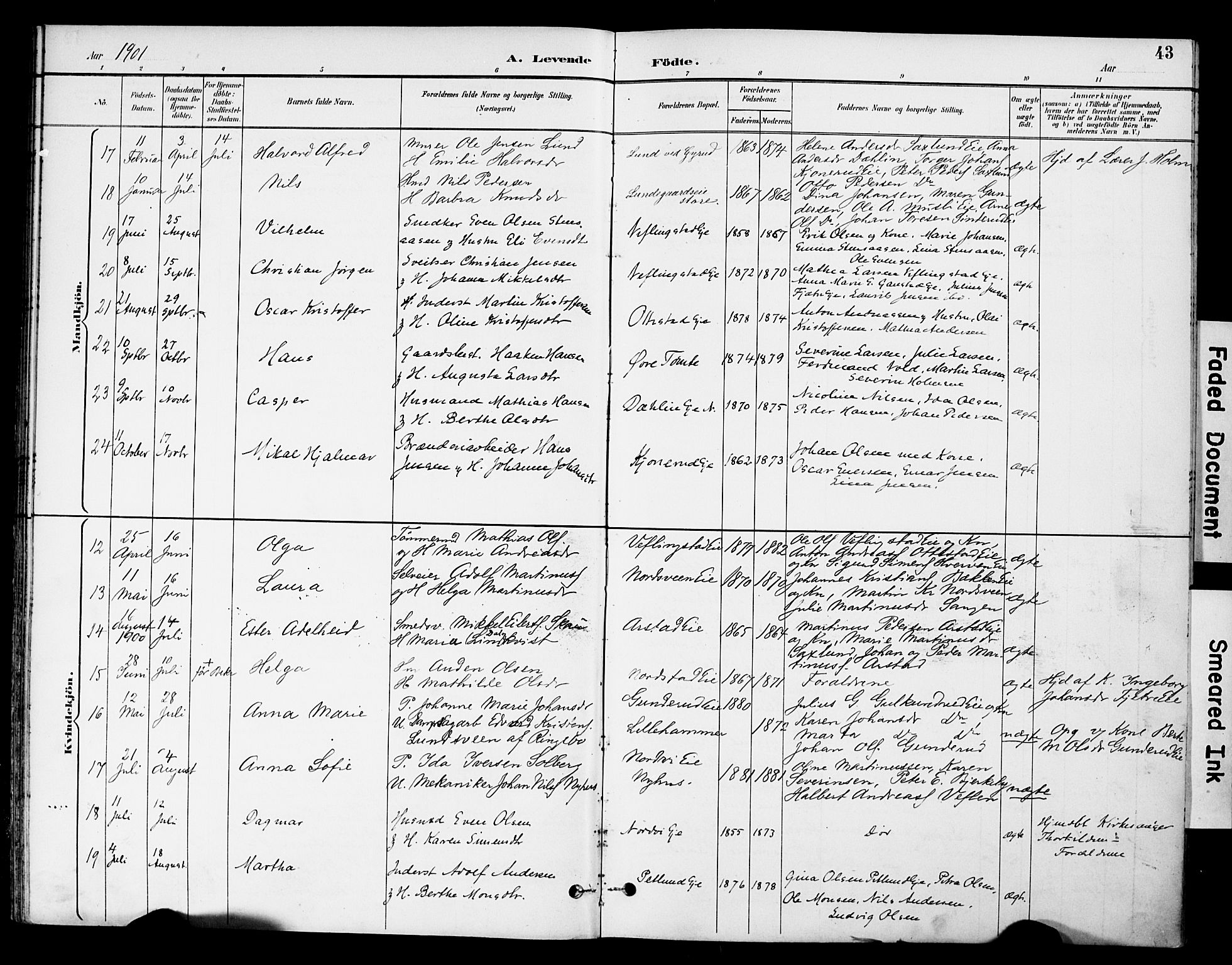 Stange prestekontor, AV/SAH-PREST-002/K/L0021: Parish register (official) no. 21, 1891-1902, p. 43