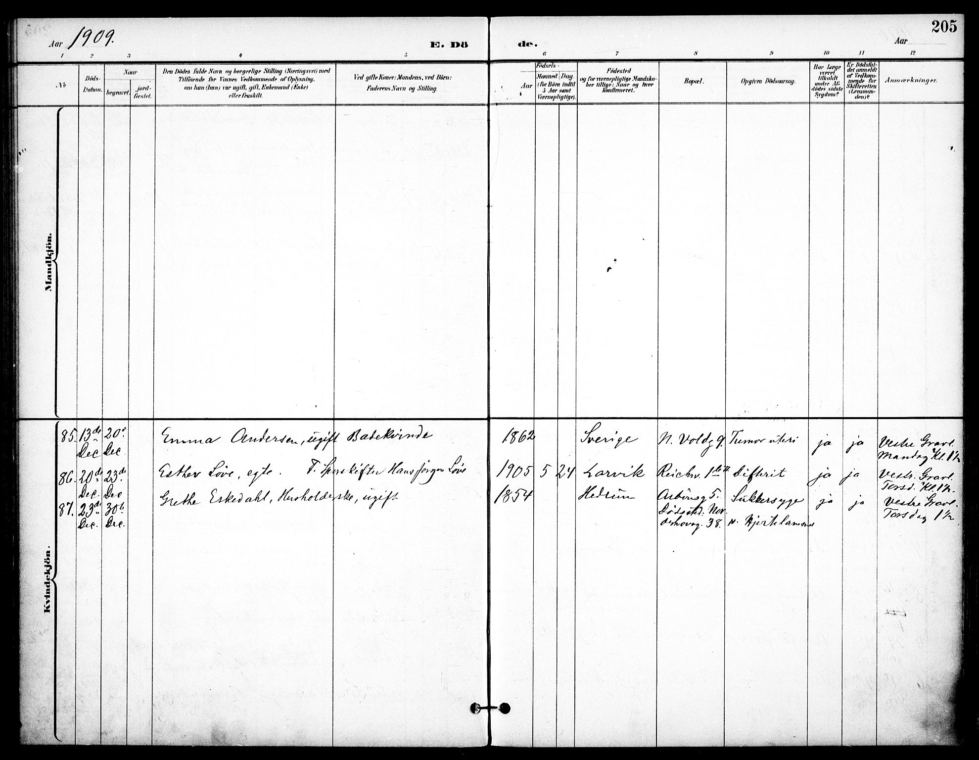 Johannes prestekontor Kirkebøker, AV/SAO-A-10852/F/Fa/L0008: Parish register (official) no. 8, 1897-1917, p. 205