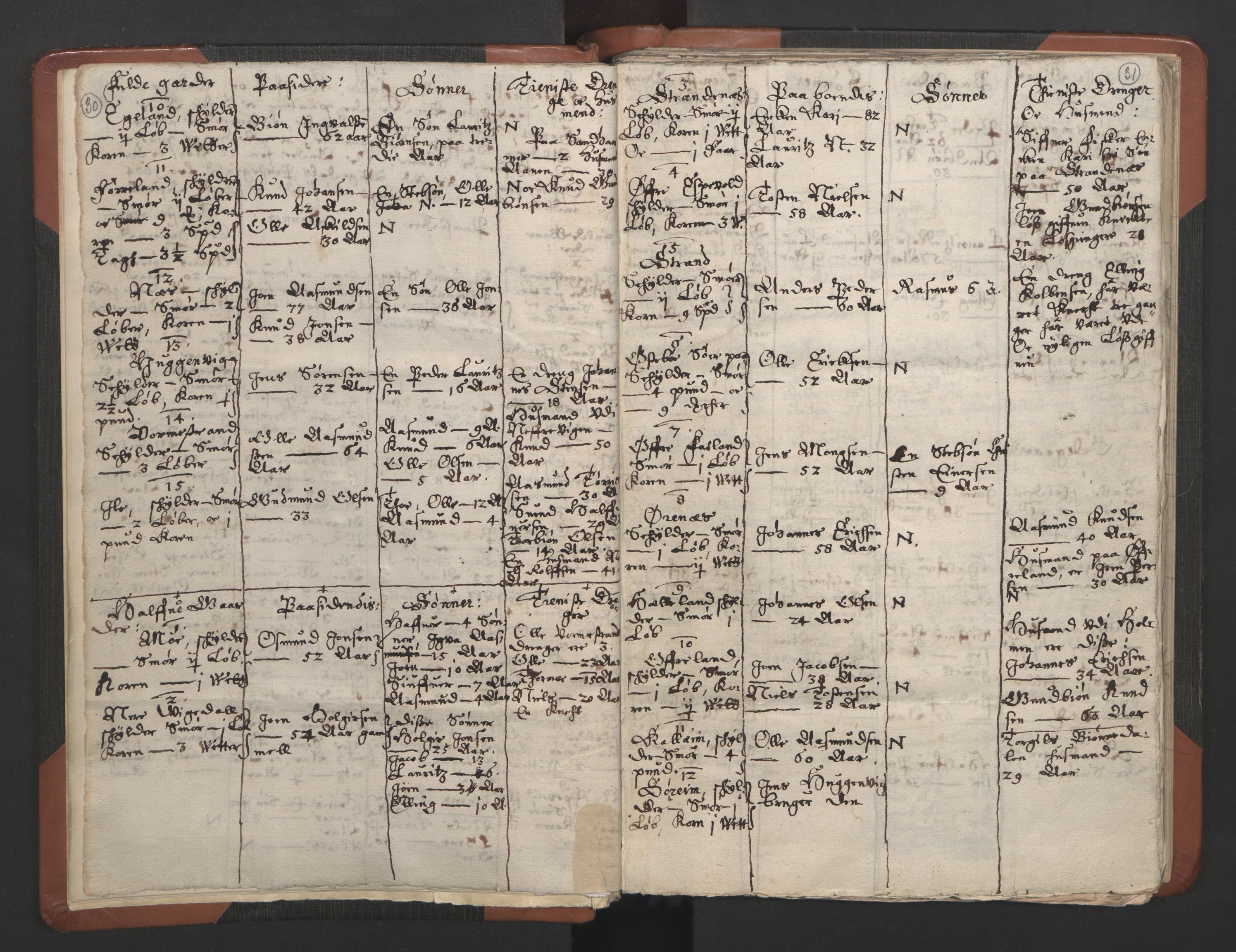 RA, Vicar's Census 1664-1666, no. 19: Ryfylke deanery, 1664-1666, p. 30-31