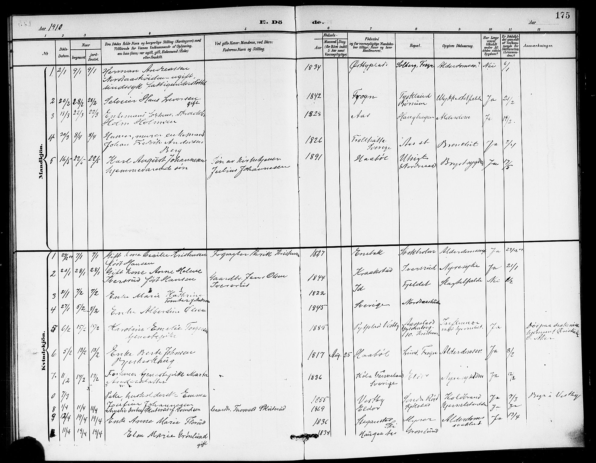 Ås prestekontor Kirkebøker, AV/SAO-A-10894/G/Ga/L0004: Parish register (copy) no. I 4, 1901-1915, p. 175