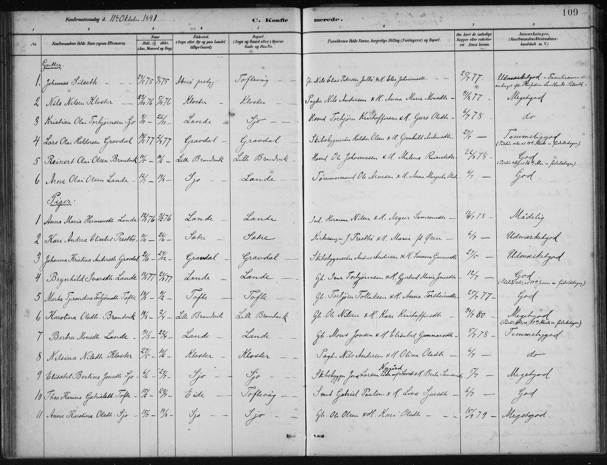 Fjelberg sokneprestembete, SAB/A-75201/H/Haa: Parish register (official) no. C  1, 1879-1918, p. 109