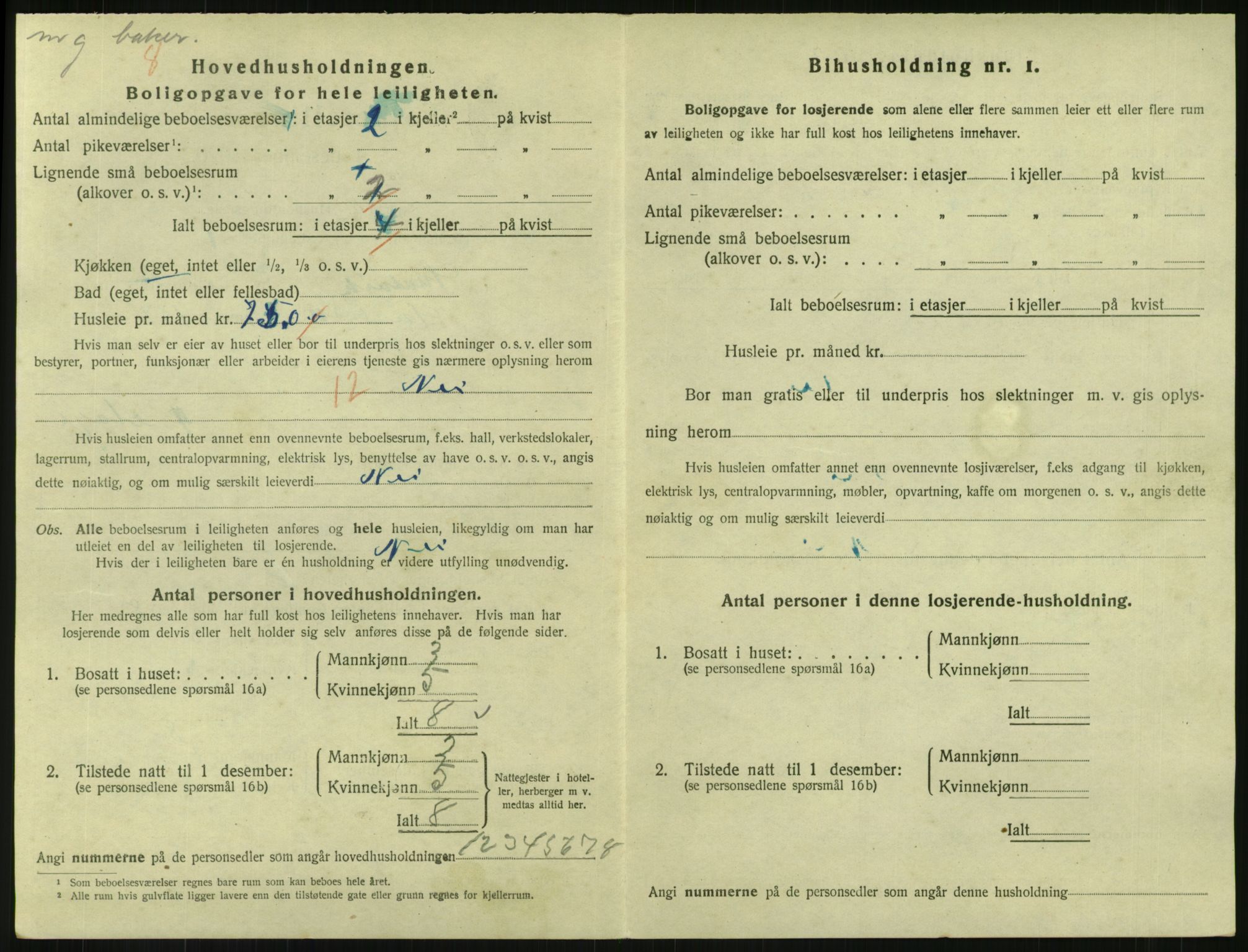 SAKO, 1920 census for Svelvik, 1920, p. 1002