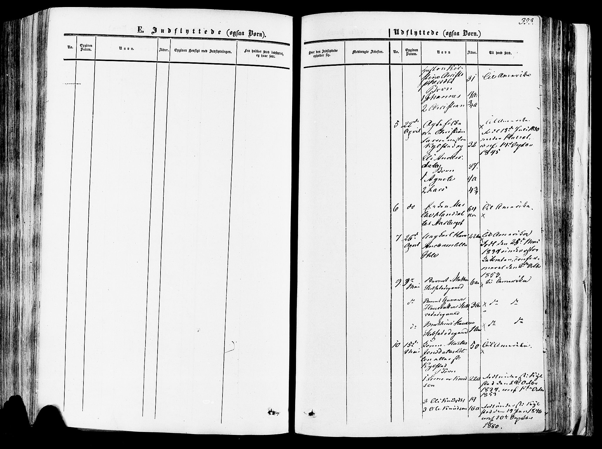 Vang prestekontor, Hedmark, SAH/PREST-008/H/Ha/Haa/L0013: Parish register (official) no. 13, 1855-1879, p. 393
