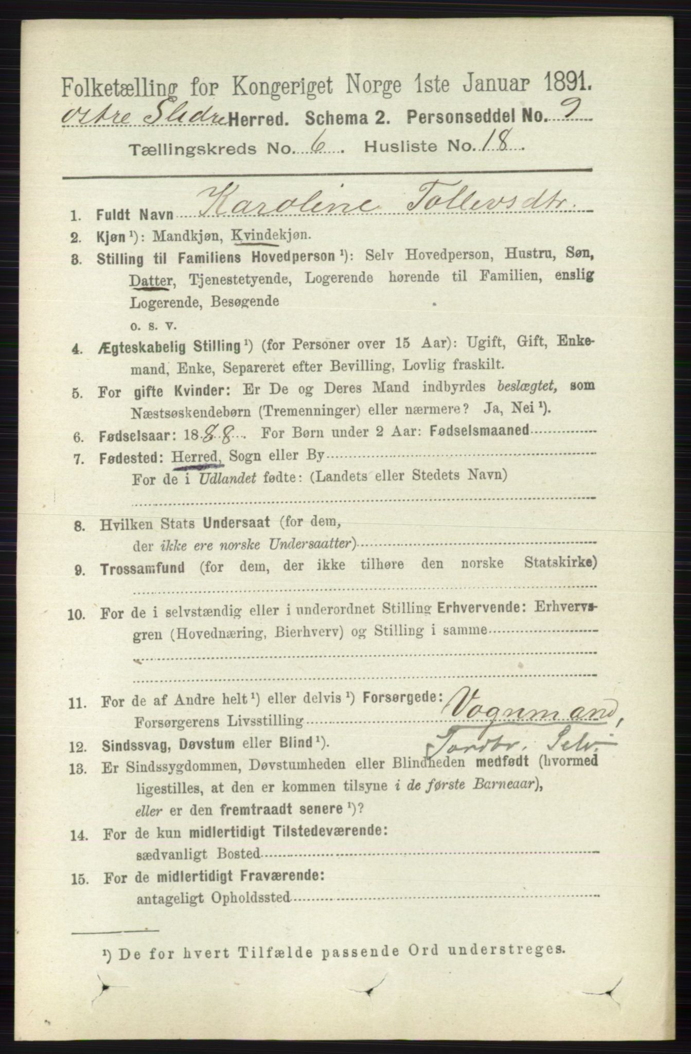 RA, 1891 census for 0544 Øystre Slidre, 1891, p. 1893