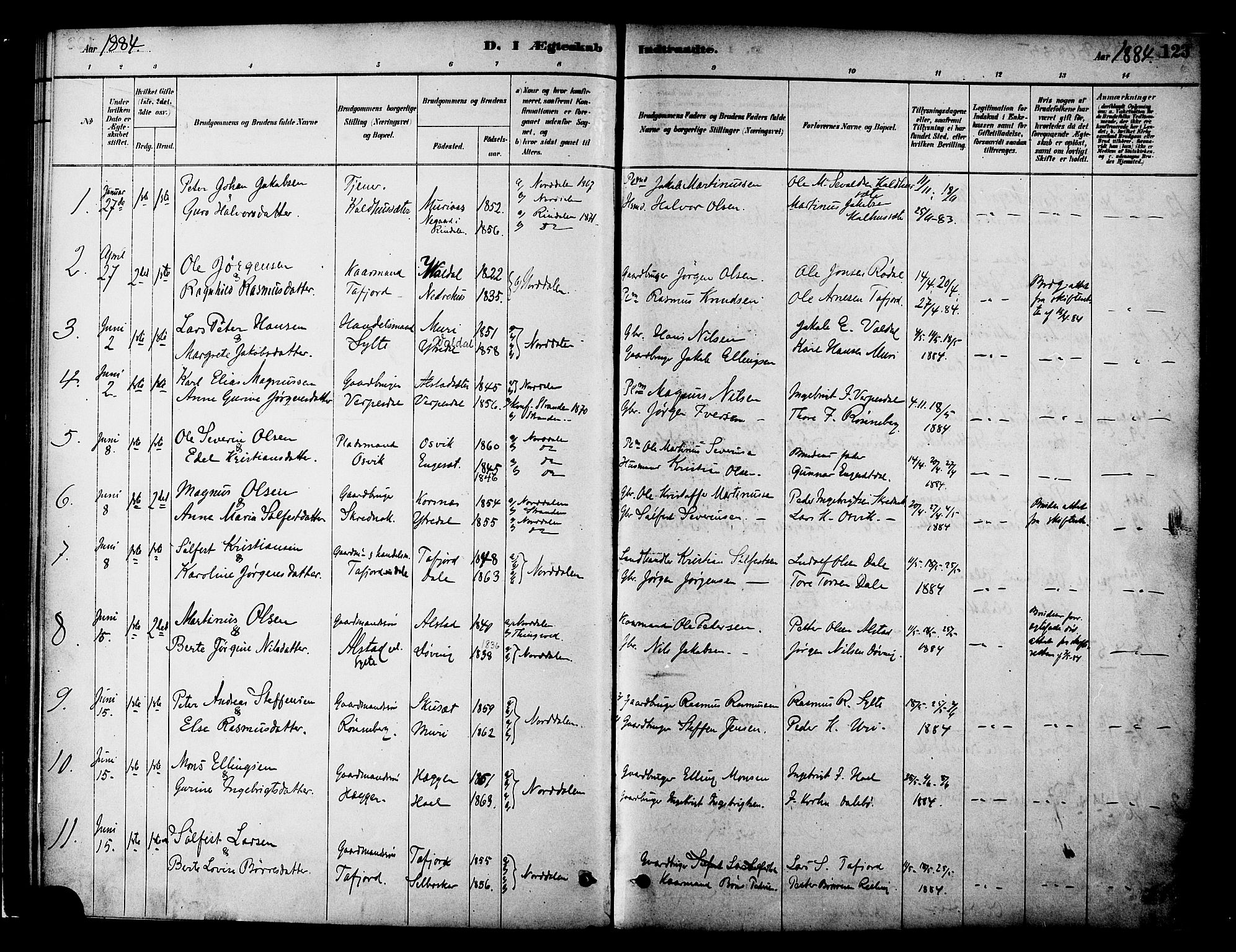 Ministerialprotokoller, klokkerbøker og fødselsregistre - Møre og Romsdal, SAT/A-1454/519/L0255: Parish register (official) no. 519A14, 1884-1908, p. 123