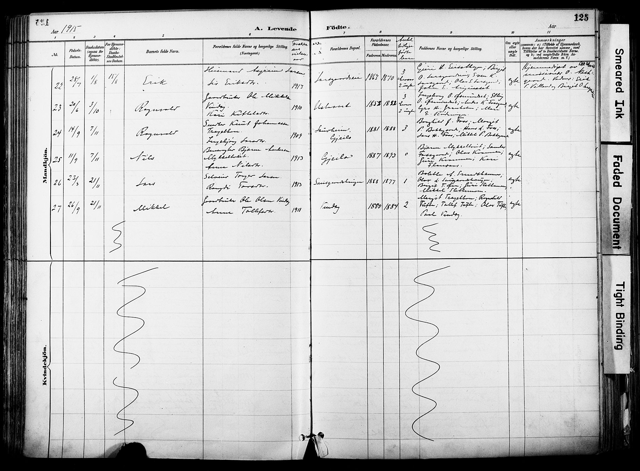 Hol kirkebøker, AV/SAKO-A-227/F/Fa/L0003: Parish register (official) no. I 3, 1887-1918, p. 125