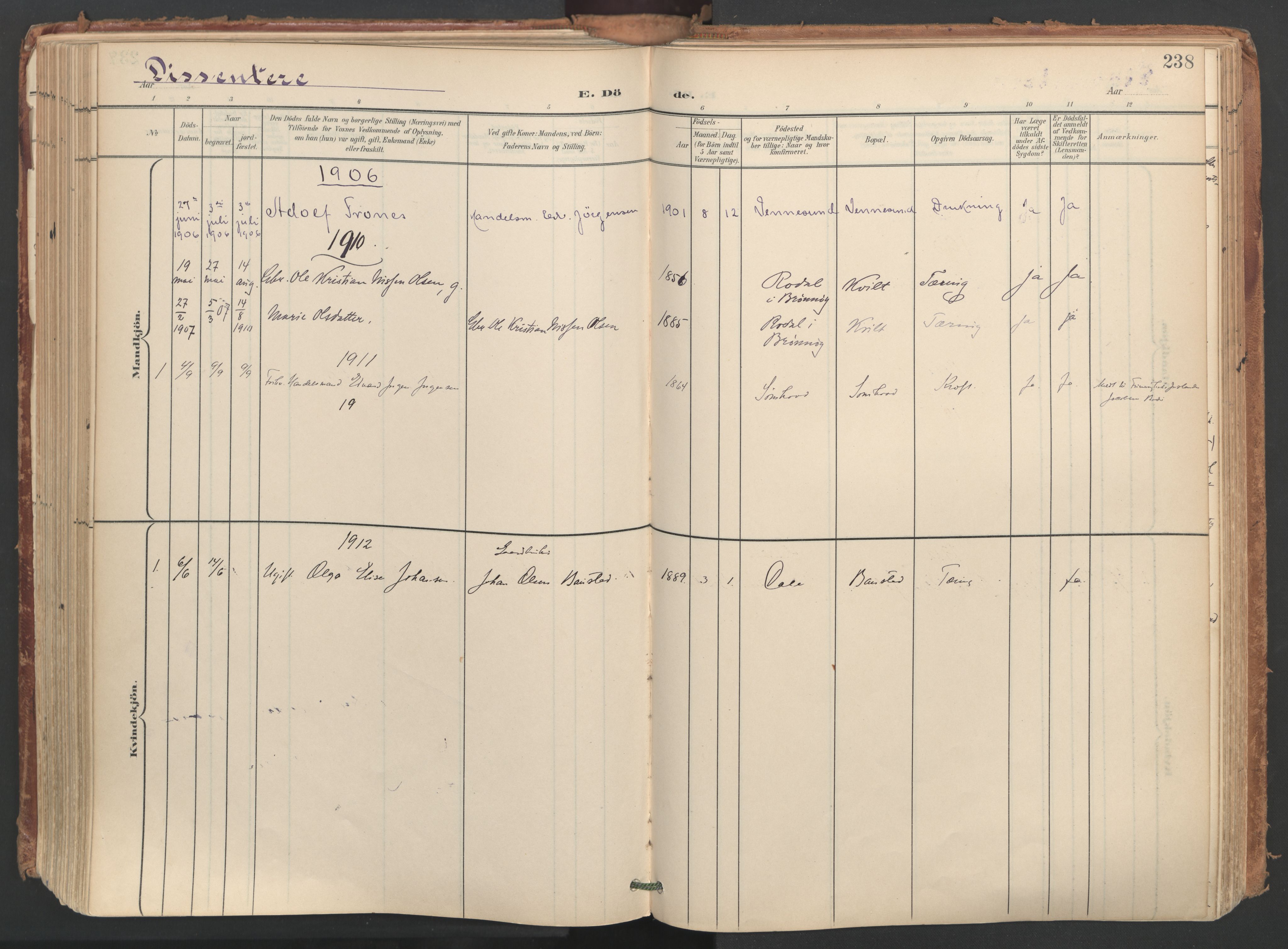 Ministerialprotokoller, klokkerbøker og fødselsregistre - Nordland, SAT/A-1459/812/L0180: Parish register (official) no. 812A09, 1901-1915, p. 238