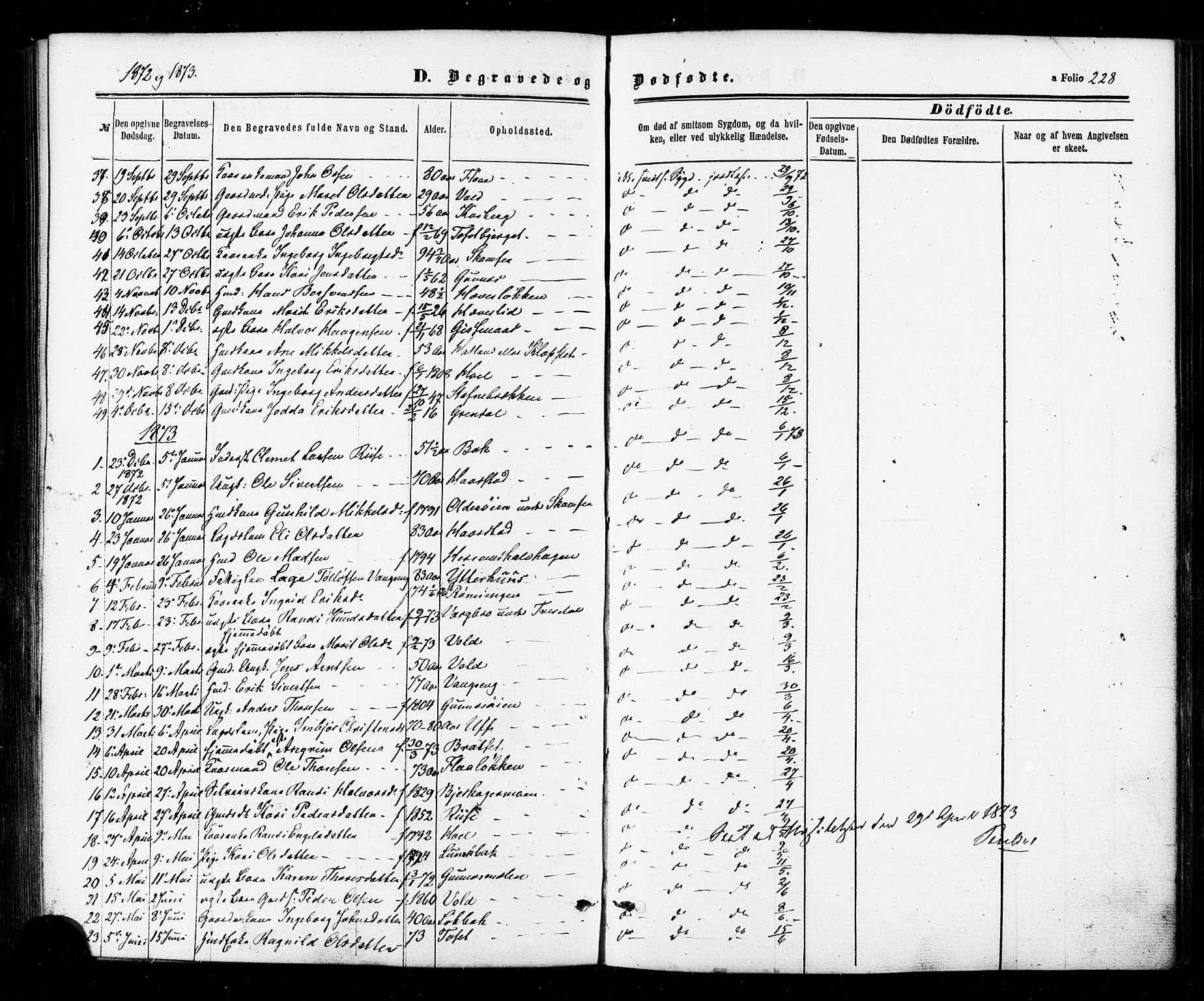 Ministerialprotokoller, klokkerbøker og fødselsregistre - Sør-Trøndelag, SAT/A-1456/674/L0870: Parish register (official) no. 674A02, 1861-1879, p. 228