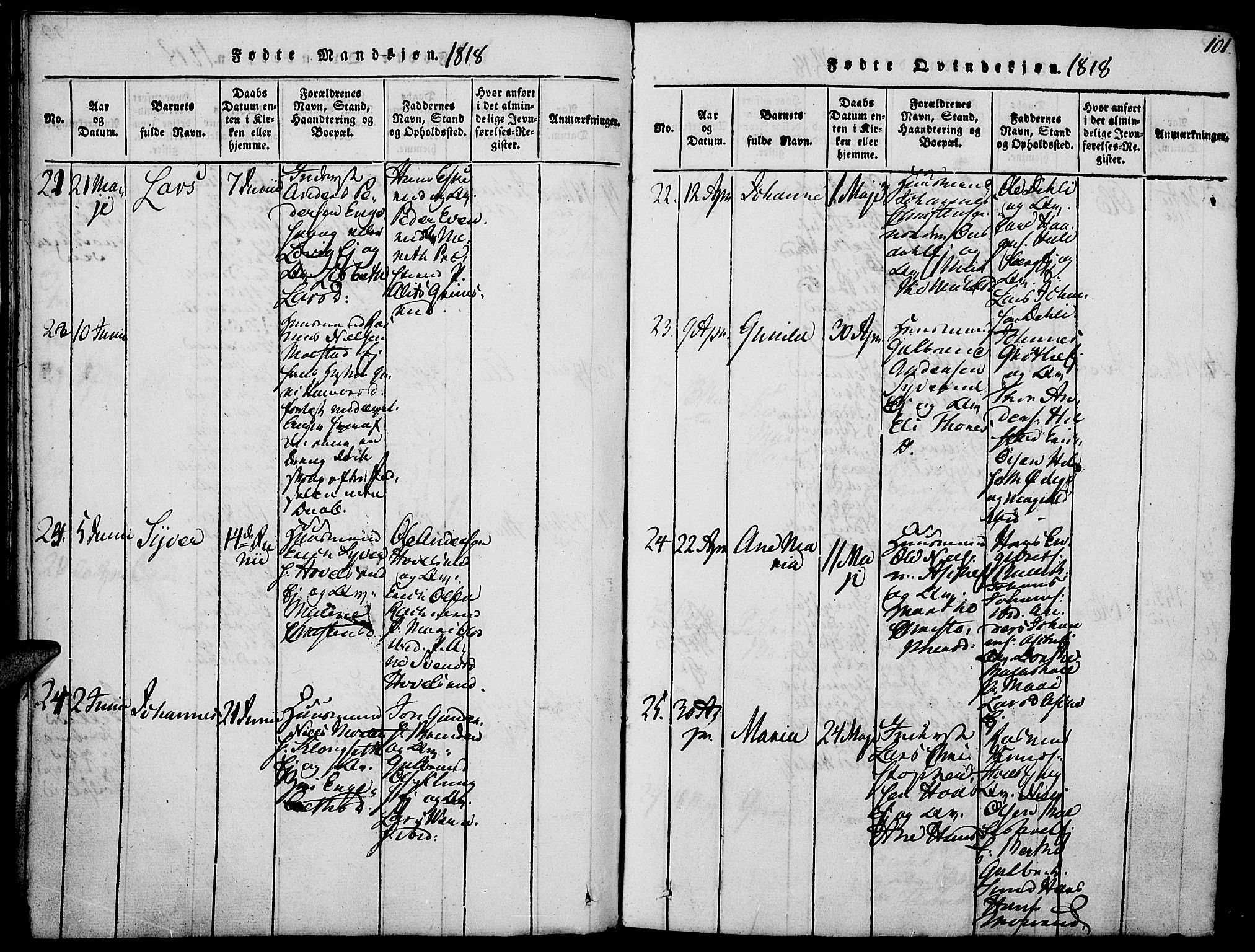 Nes prestekontor, Hedmark, AV/SAH-PREST-020/K/Ka/L0002: Parish register (official) no. 2, 1813-1827, p. 100-101