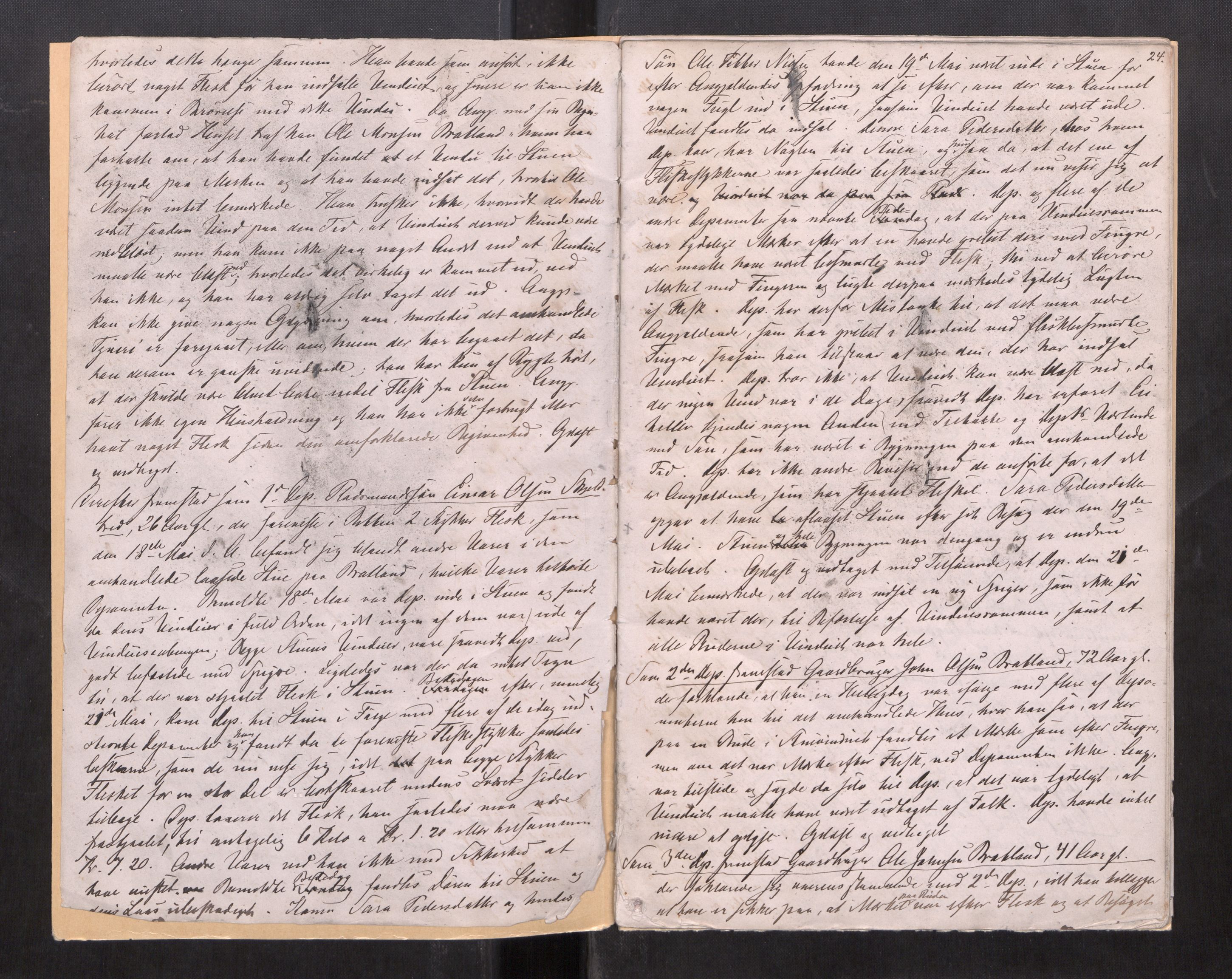 Namdal sorenskriveri, AV/SAT-A-4133/1/1/1B/L0017: Ekstrarettsprotokoll nr. 15, 1886-1889, p. 23b-24a