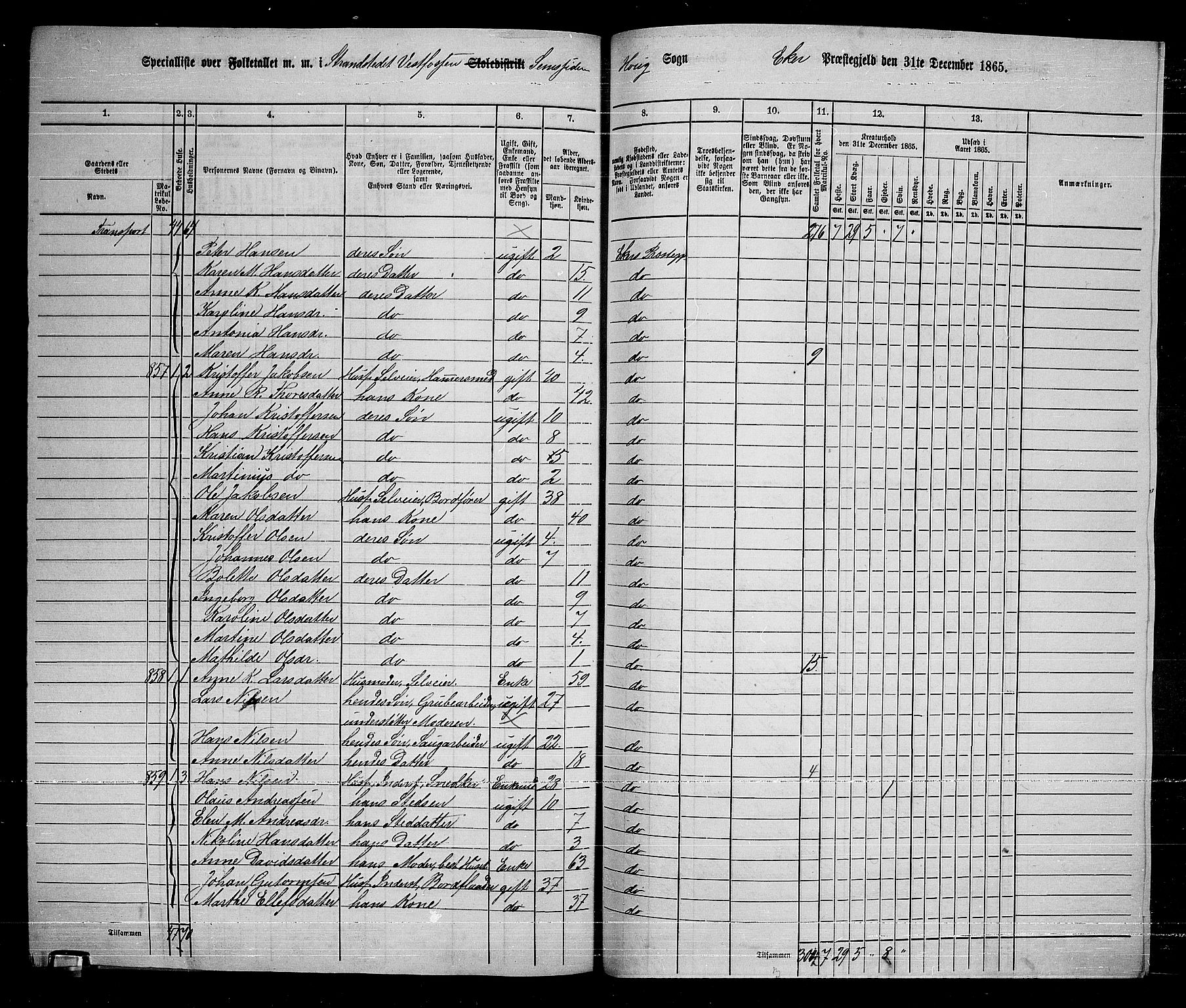 RA, 1865 census for Eiker, 1865, p. 250