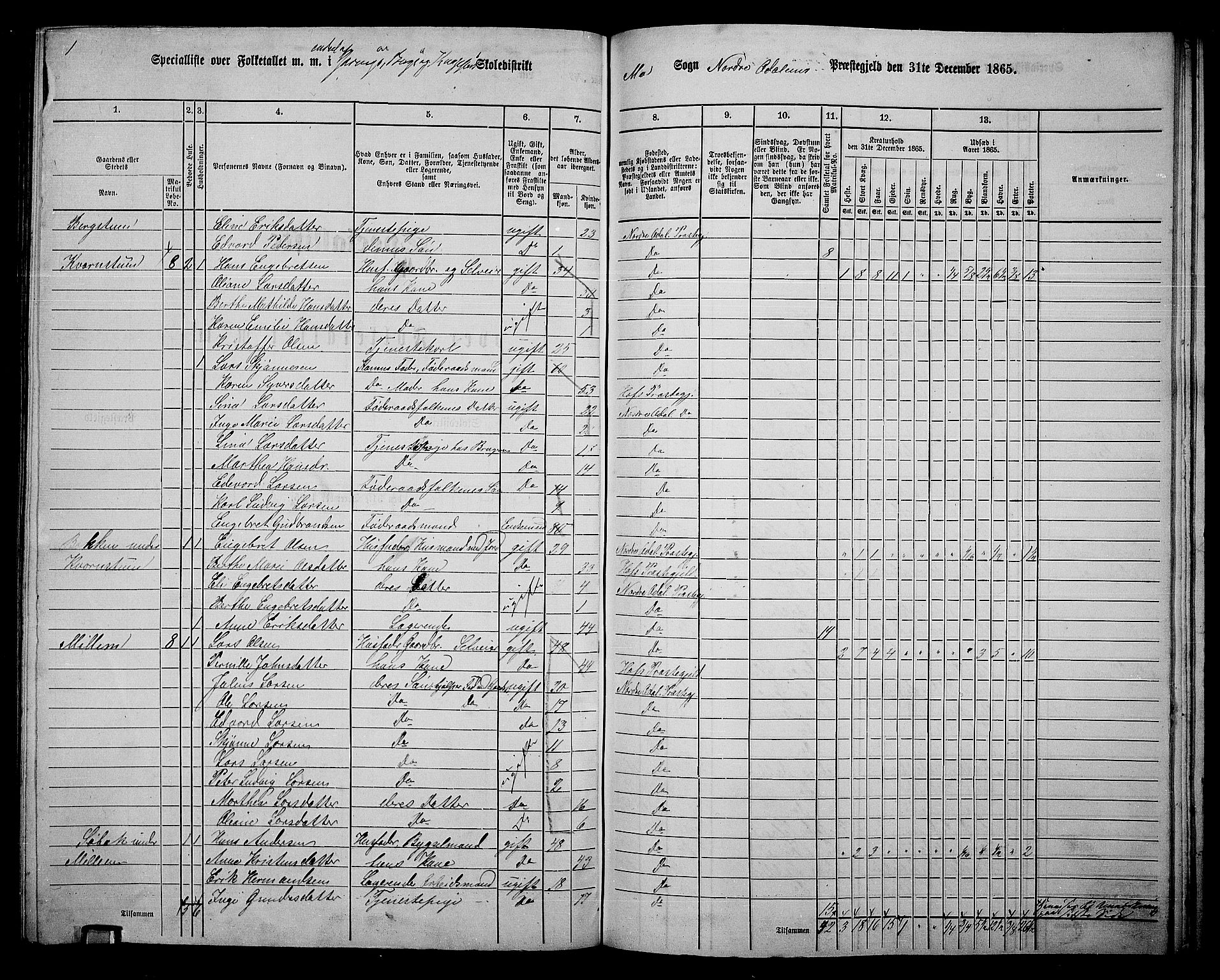 RA, 1865 census for Nord-Odal, 1865, p. 143