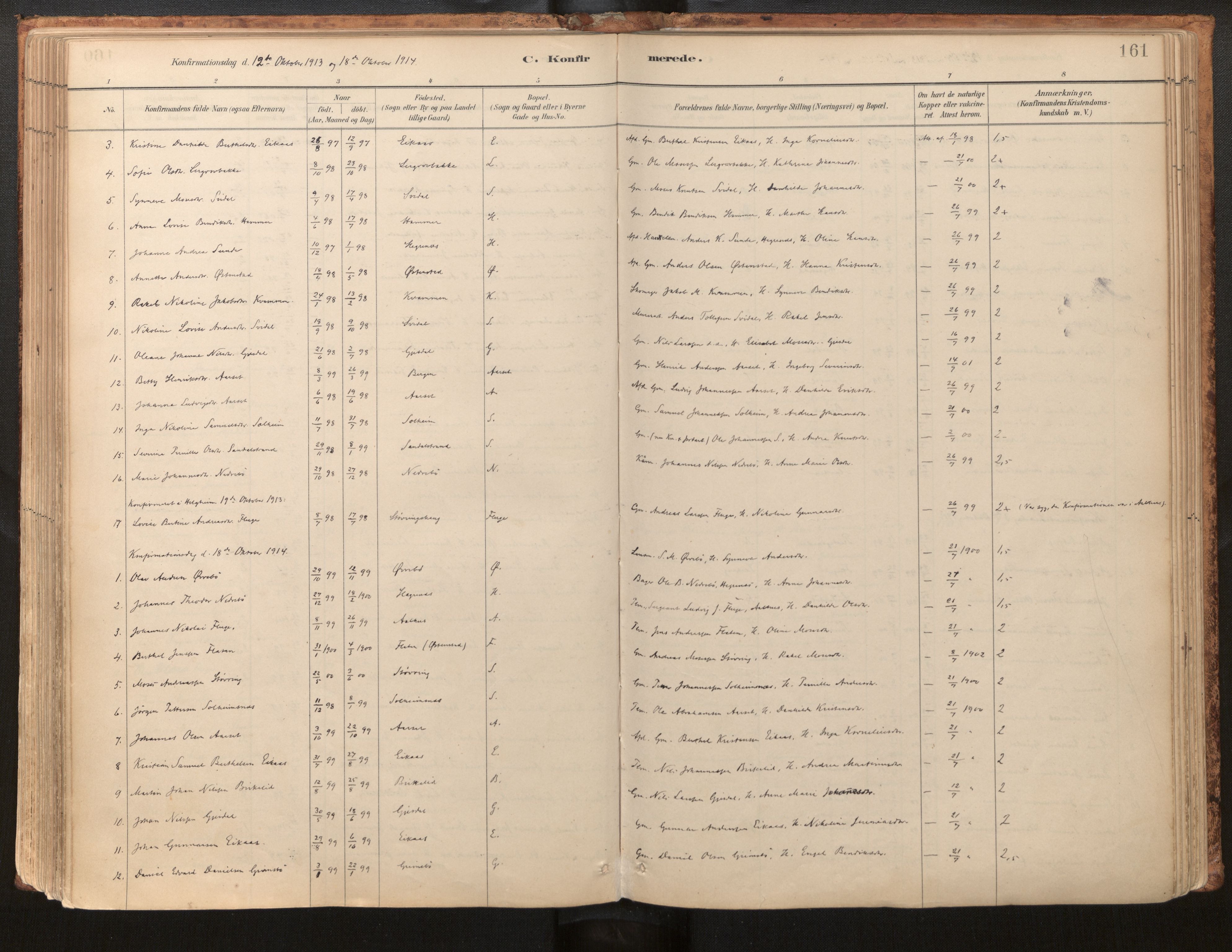 Jølster sokneprestembete, AV/SAB-A-80701/H/Haa/Haab/L0001: Parish register (official) no. B 1, 1882-1930, p. 161