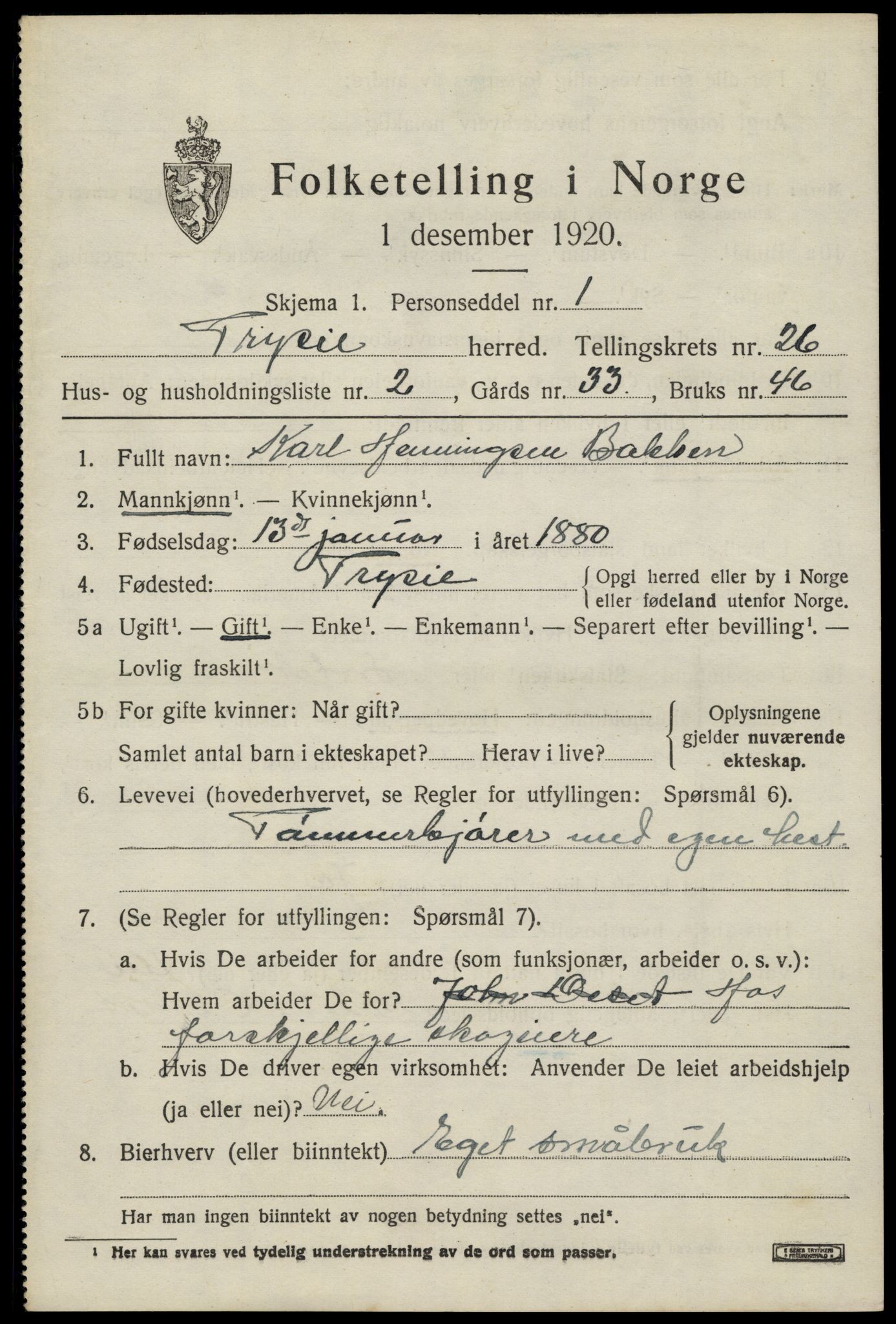 SAH, 1920 census for Trysil, 1920, p. 16117