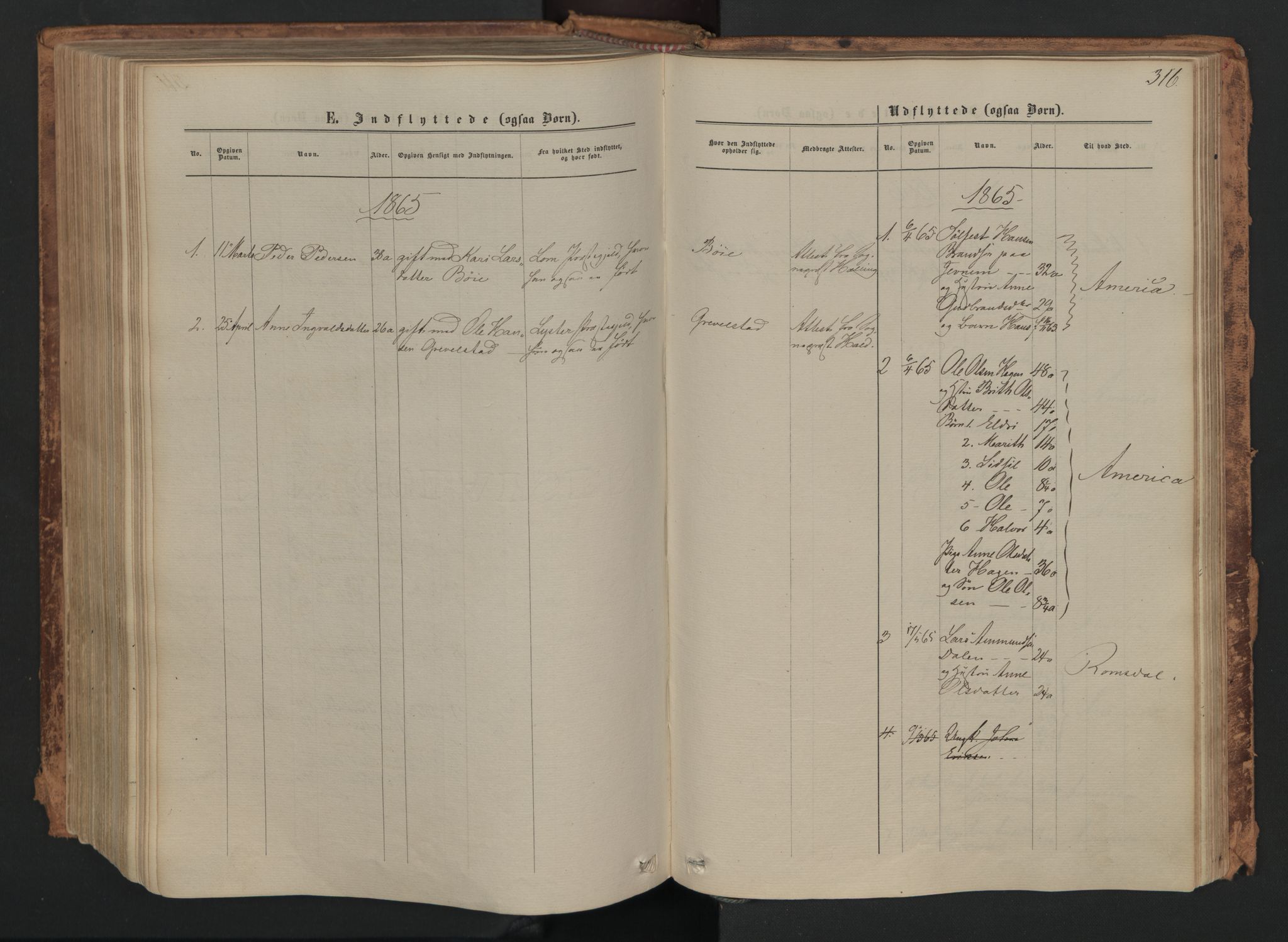 Skjåk prestekontor, SAH/PREST-072/H/Ha/Haa/L0001: Parish register (official) no. 1, 1863-1879, p. 316