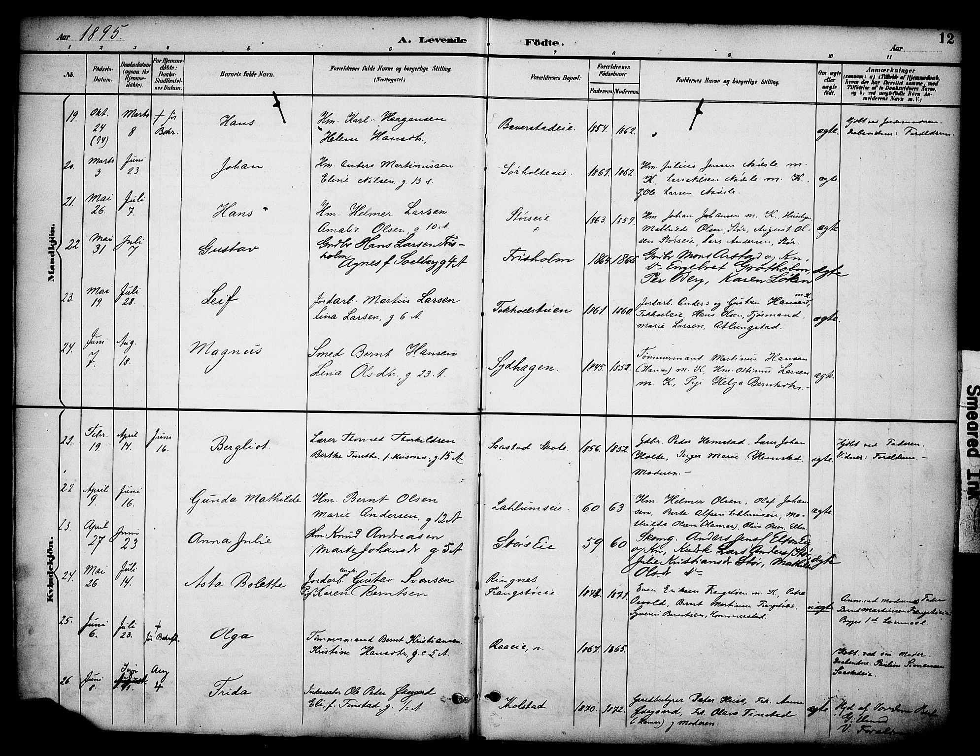 Stange prestekontor, AV/SAH-PREST-002/K/L0020: Parish register (official) no. 20, 1894-1905, p. 12