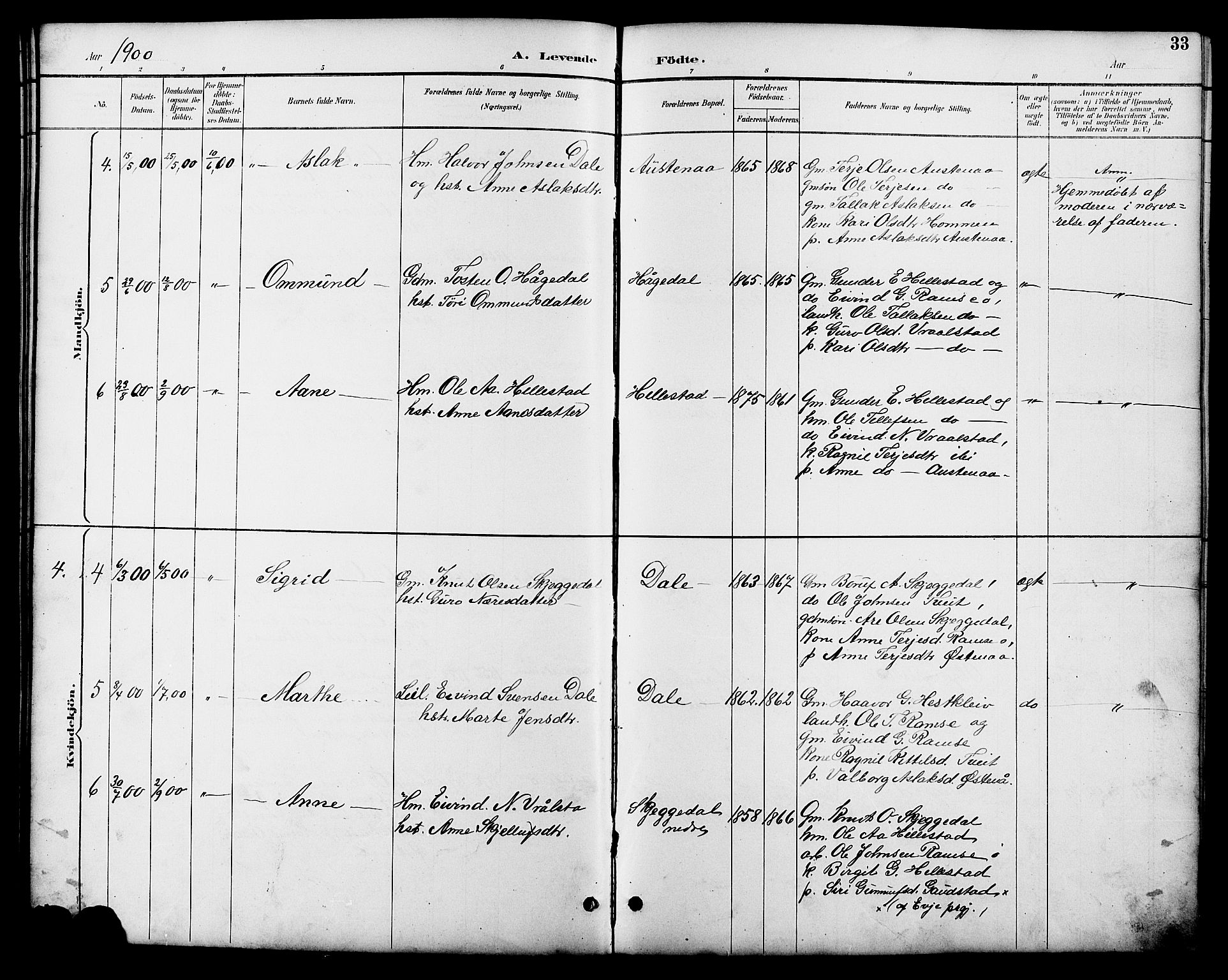 Åmli sokneprestkontor, AV/SAK-1111-0050/F/Fb/Fbb/L0002: Parish register (copy) no. B 2, 1890-1905, p. 33