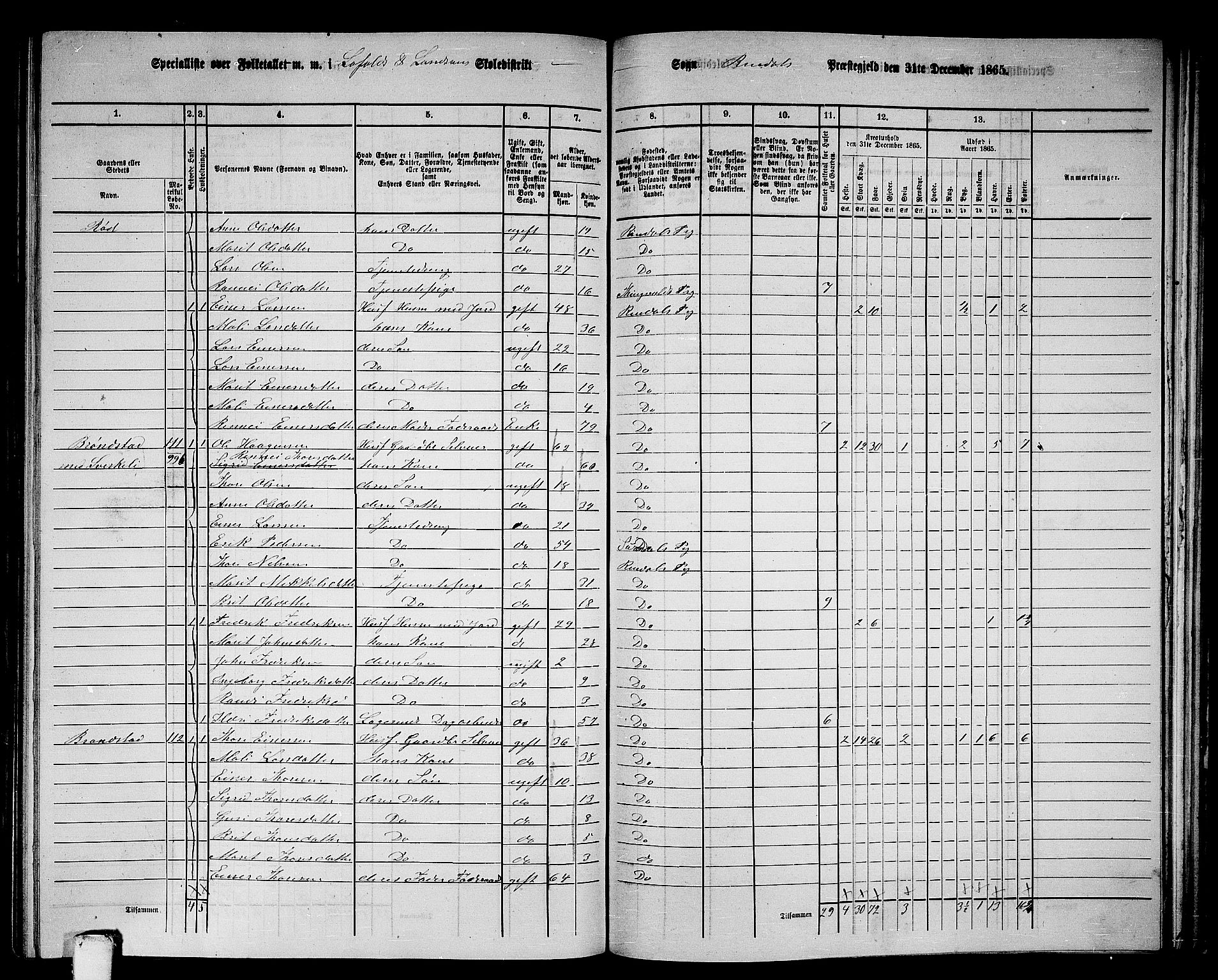 RA, 1865 census for Rindal, 1865, p. 59