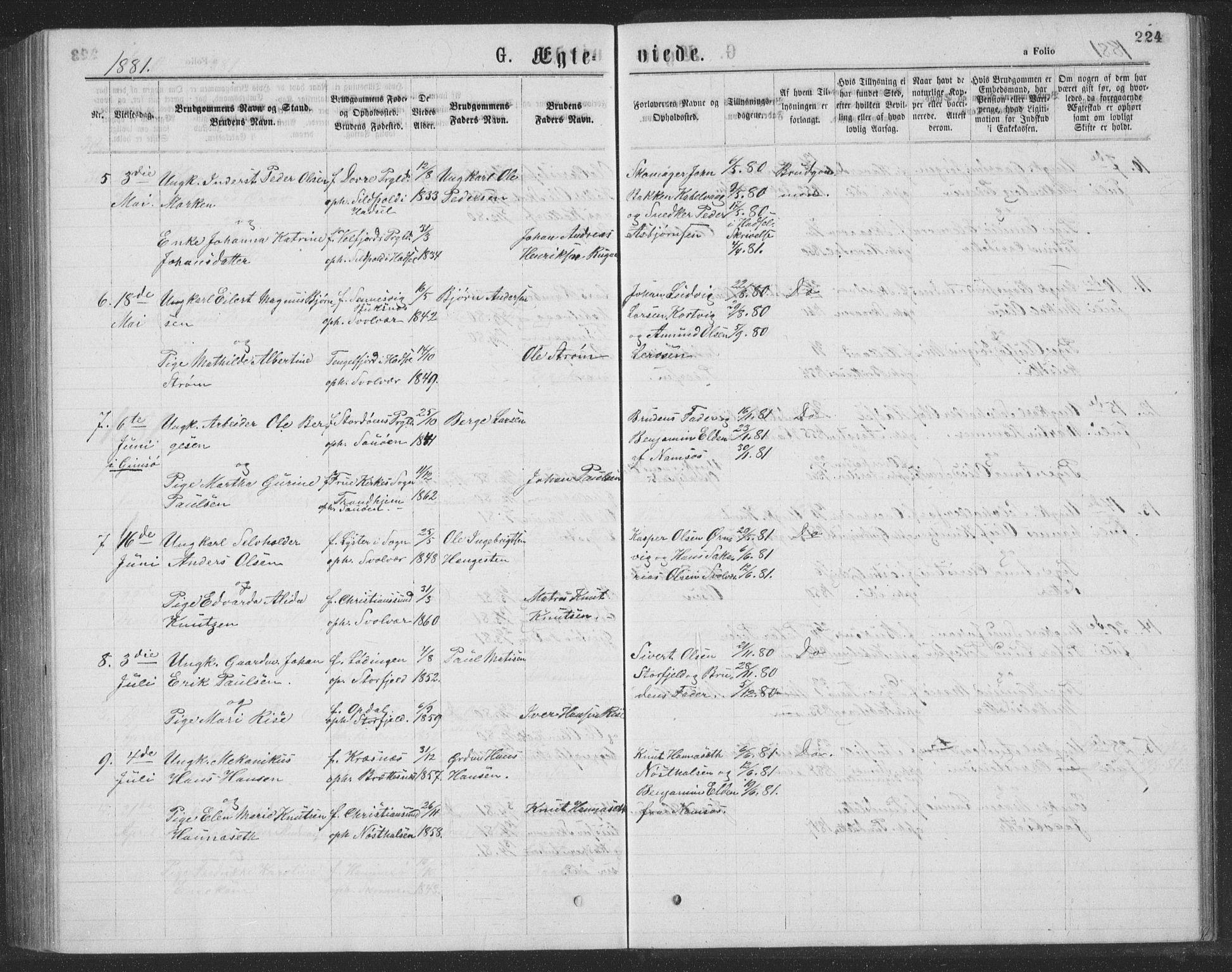 Ministerialprotokoller, klokkerbøker og fødselsregistre - Nordland, AV/SAT-A-1459/874/L1075: Parish register (copy) no. 874C04, 1876-1883, p. 224