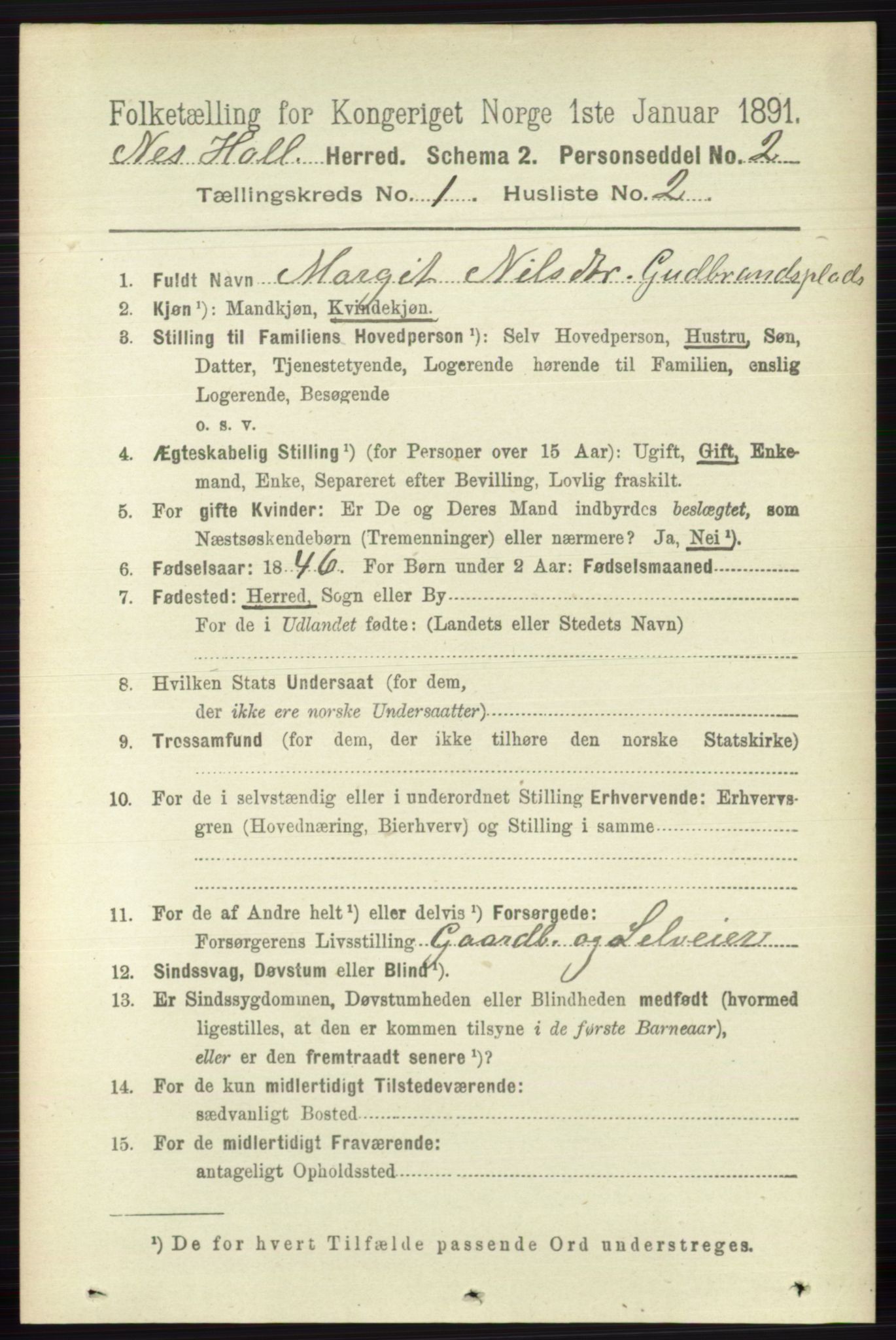 RA, 1891 census for 0616 Nes, 1891, p. 180