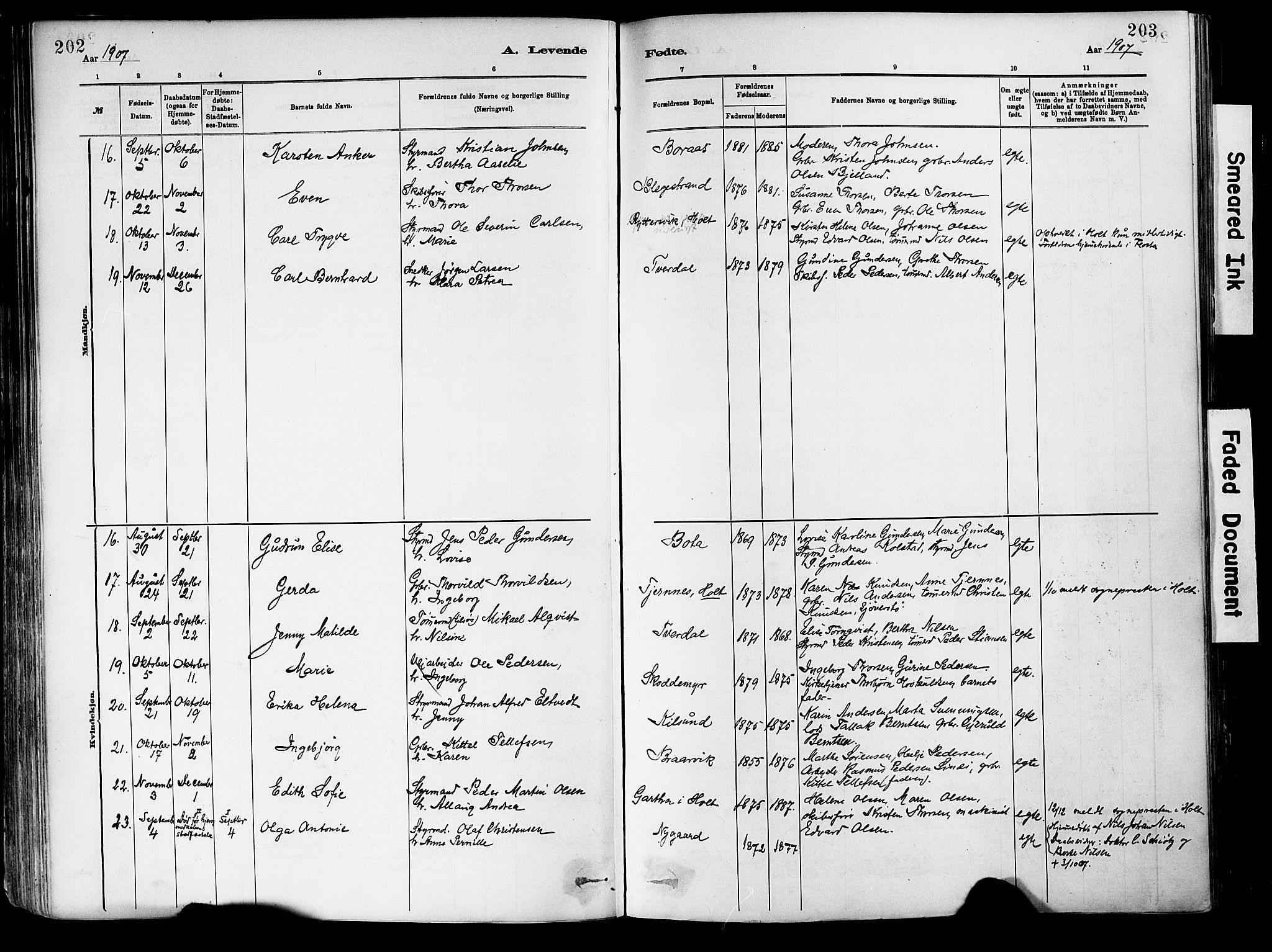 Dypvåg sokneprestkontor, AV/SAK-1111-0007/F/Fa/Fab/L0001: Parish register (official) no. A 1, 1885-1912, p. 202-203