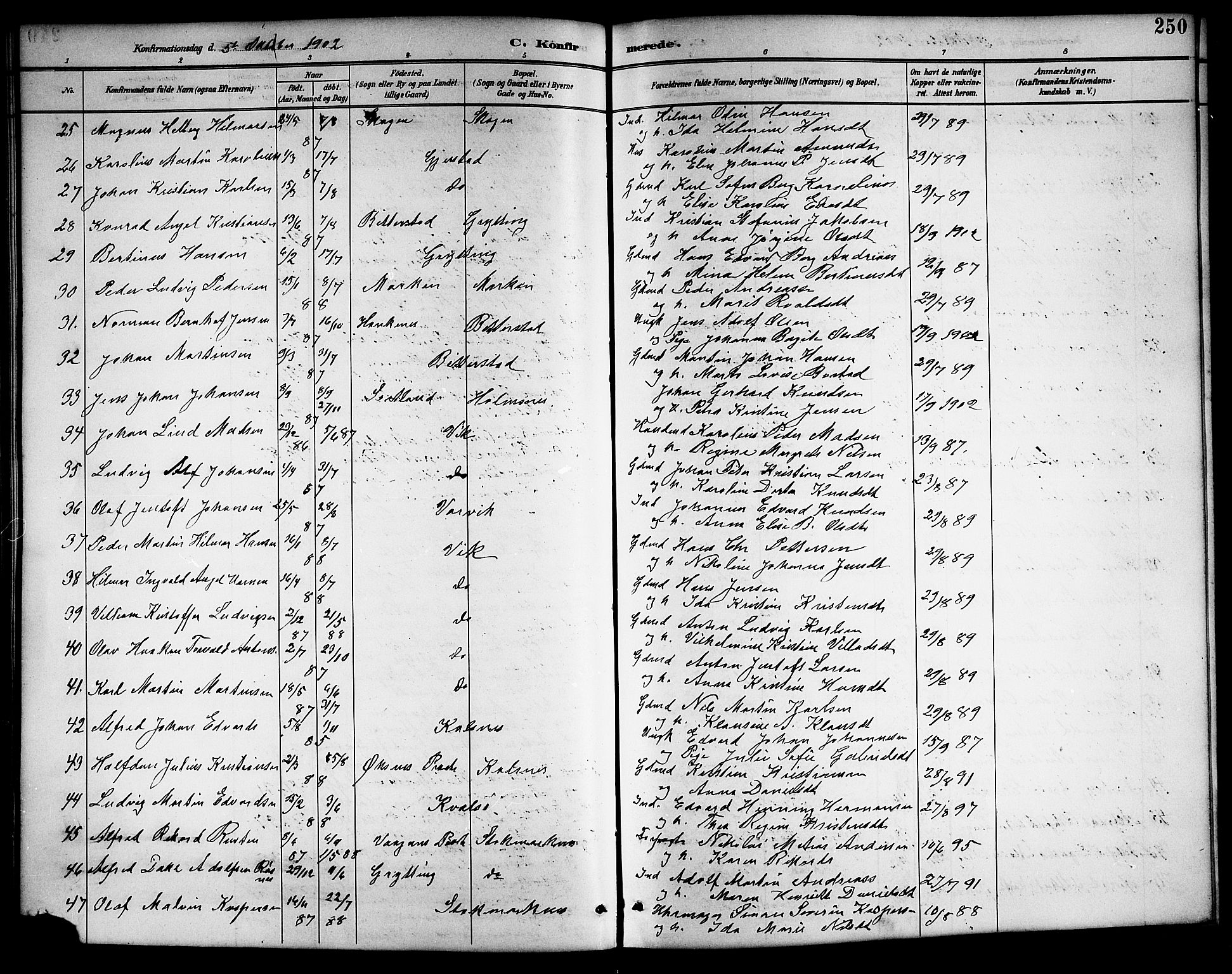 Ministerialprotokoller, klokkerbøker og fødselsregistre - Nordland, AV/SAT-A-1459/888/L1268: Parish register (copy) no. 888C06, 1891-1908, p. 250