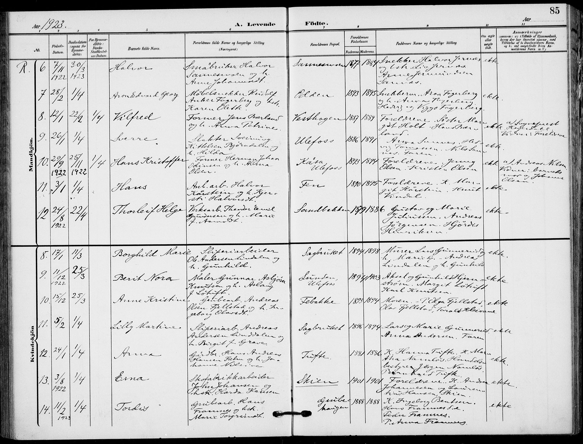 Holla kirkebøker, SAKO/A-272/F/Fa/L0012: Parish register (official) no. 12, 1907-1923, p. 85