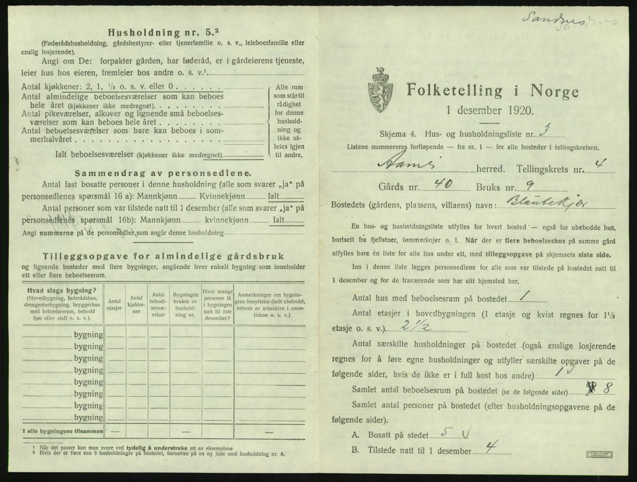 SAK, 1920 census for Åmli, 1920, p. 247