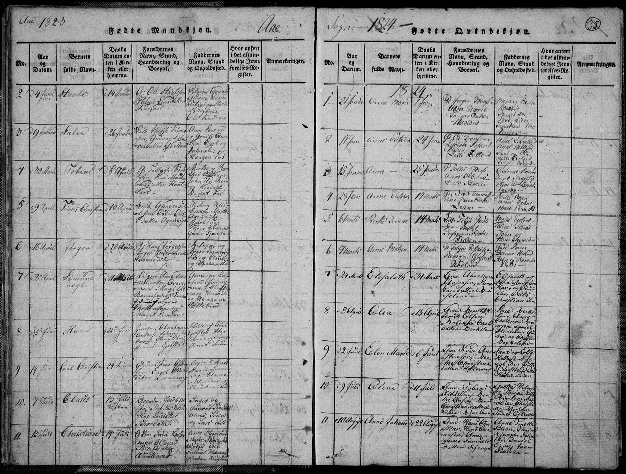 Lyngdal sokneprestkontor, SAK/1111-0029/F/Fa/Fac/L0006: Parish register (official) no. A 6, 1815-1825, p. 35