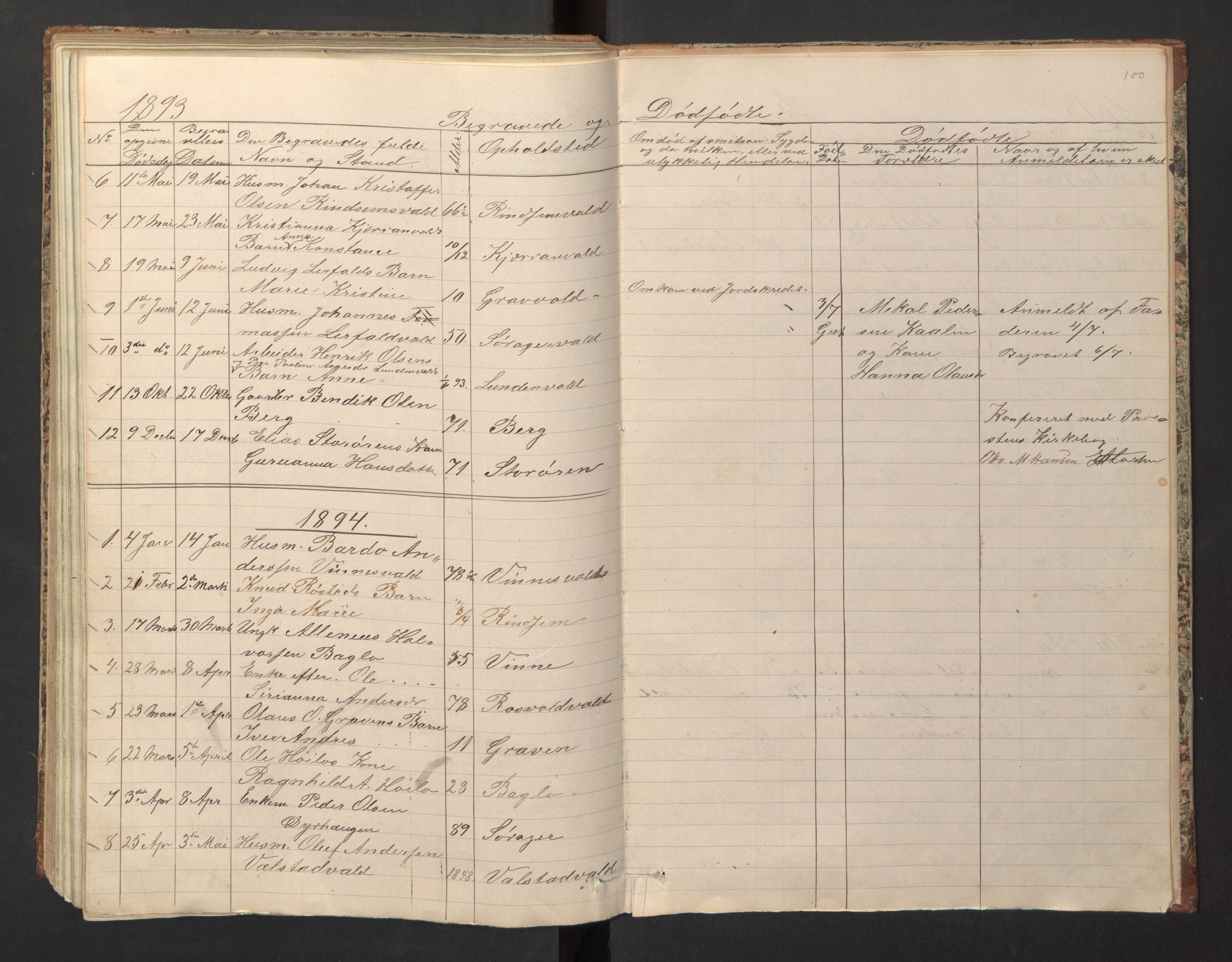 Ministerialprotokoller, klokkerbøker og fødselsregistre - Nord-Trøndelag, SAT/A-1458/726/L0271: Parish register (copy) no. 726C02, 1869-1897, p. 100