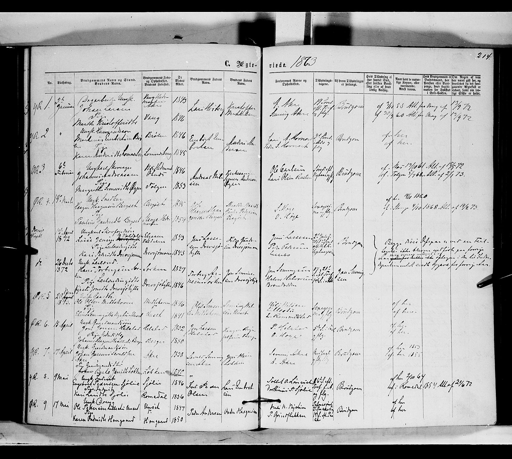 Rendalen prestekontor, SAH/PREST-054/H/Ha/Haa/L0006: Parish register (official) no. 6, 1867-1877, p. 214