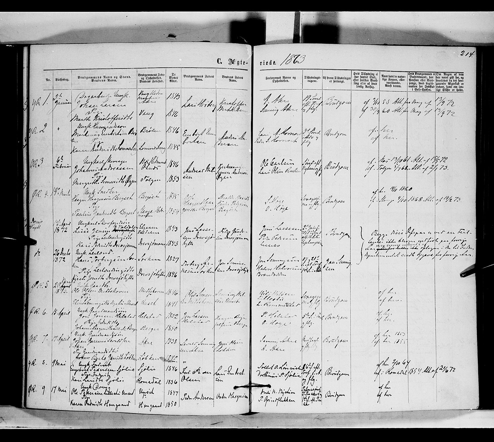 Rendalen prestekontor, AV/SAH-PREST-054/H/Ha/Haa/L0006: Parish register (official) no. 6, 1867-1877, p. 214