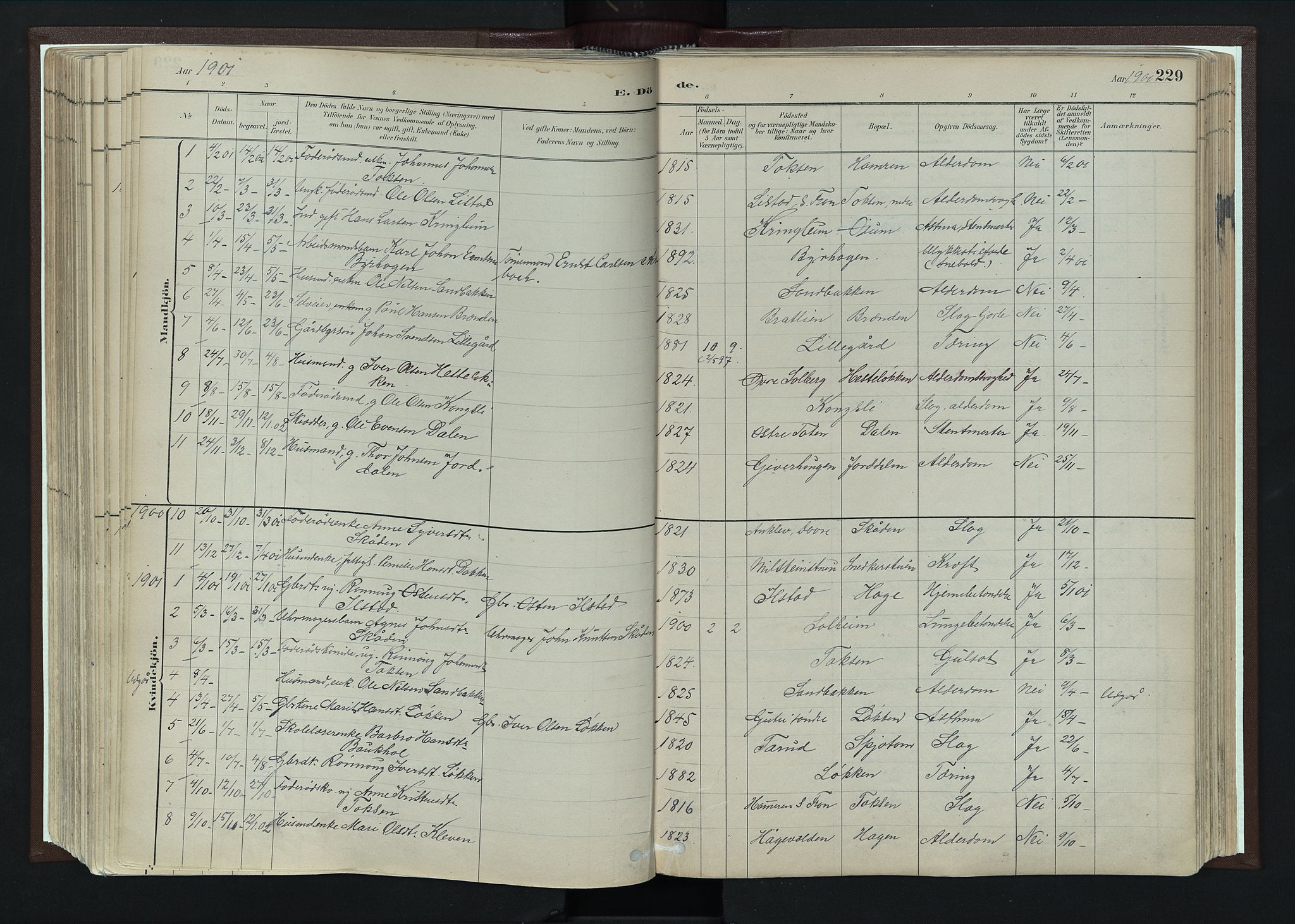 Nord-Fron prestekontor, SAH/PREST-080/H/Ha/Haa/L0004: Parish register (official) no. 4, 1884-1914, p. 229