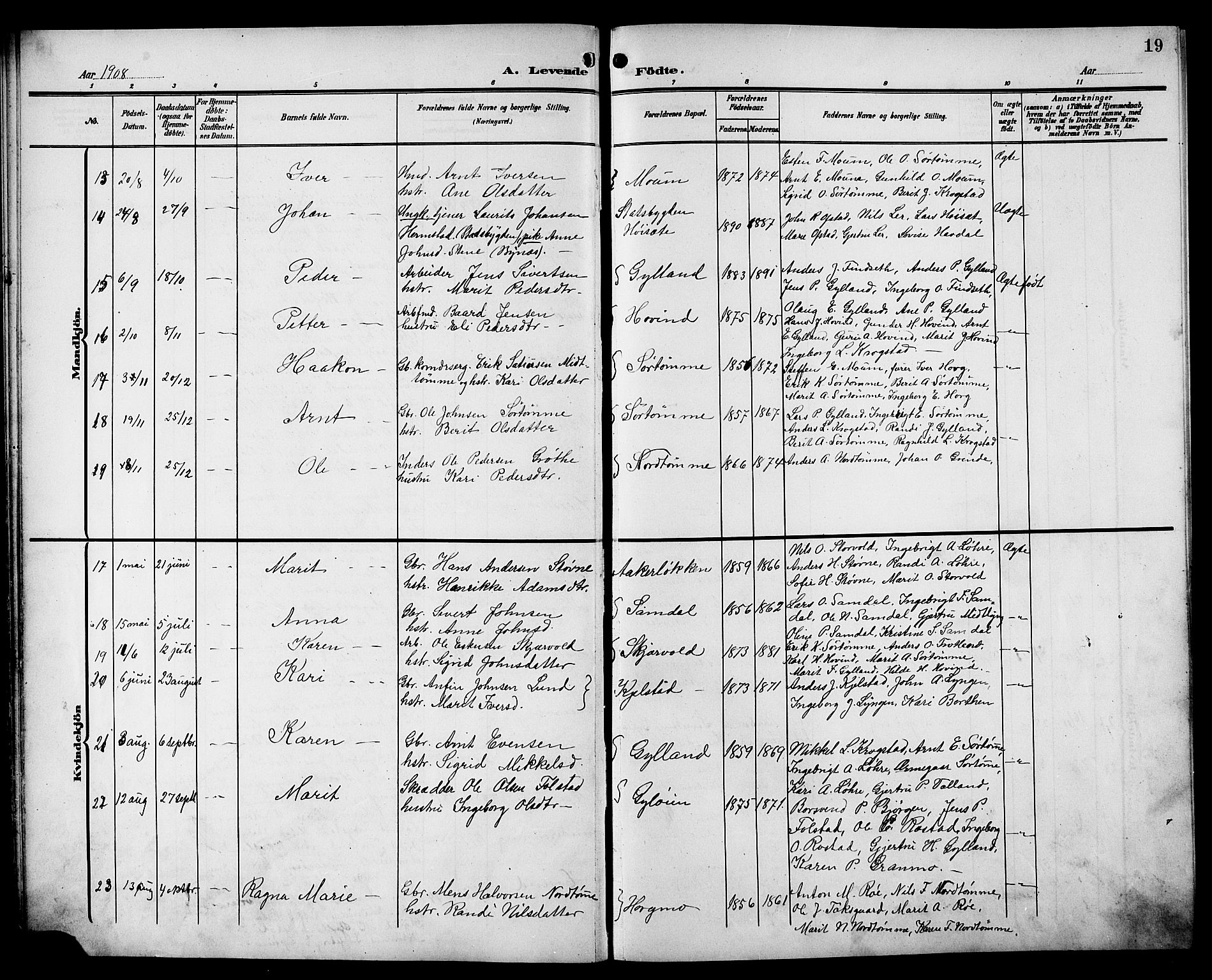 Ministerialprotokoller, klokkerbøker og fødselsregistre - Sør-Trøndelag, SAT/A-1456/692/L1112: Parish register (copy) no. 692C07, 1904-1918, p. 19