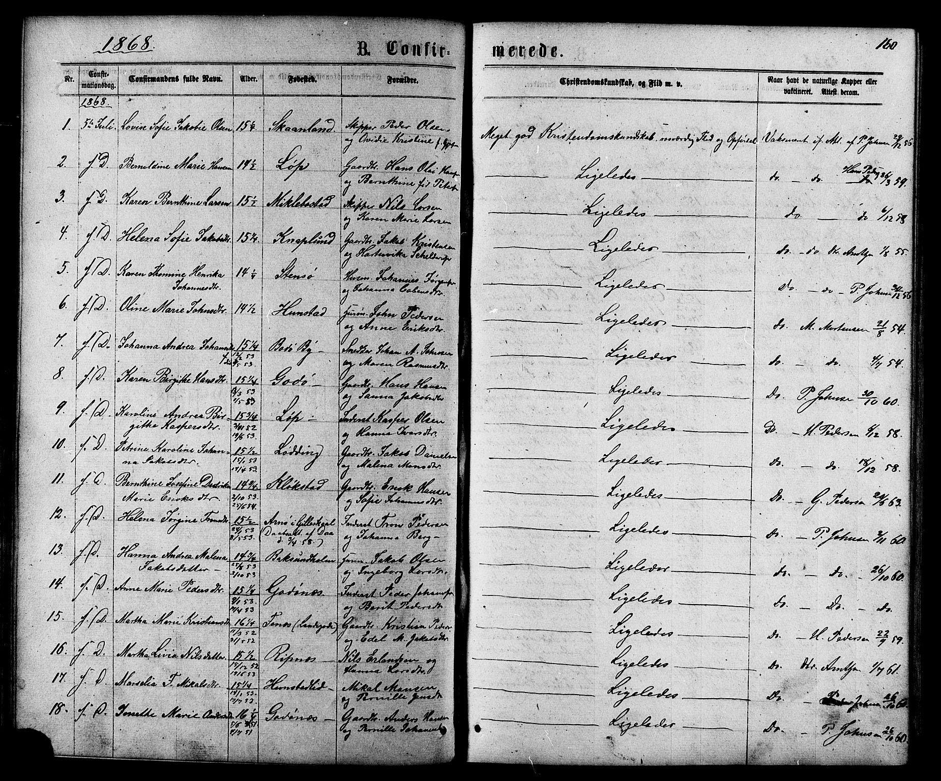 Ministerialprotokoller, klokkerbøker og fødselsregistre - Nordland, SAT/A-1459/801/L0029: Parish register (copy) no. 801C04, 1868-1878, p. 160