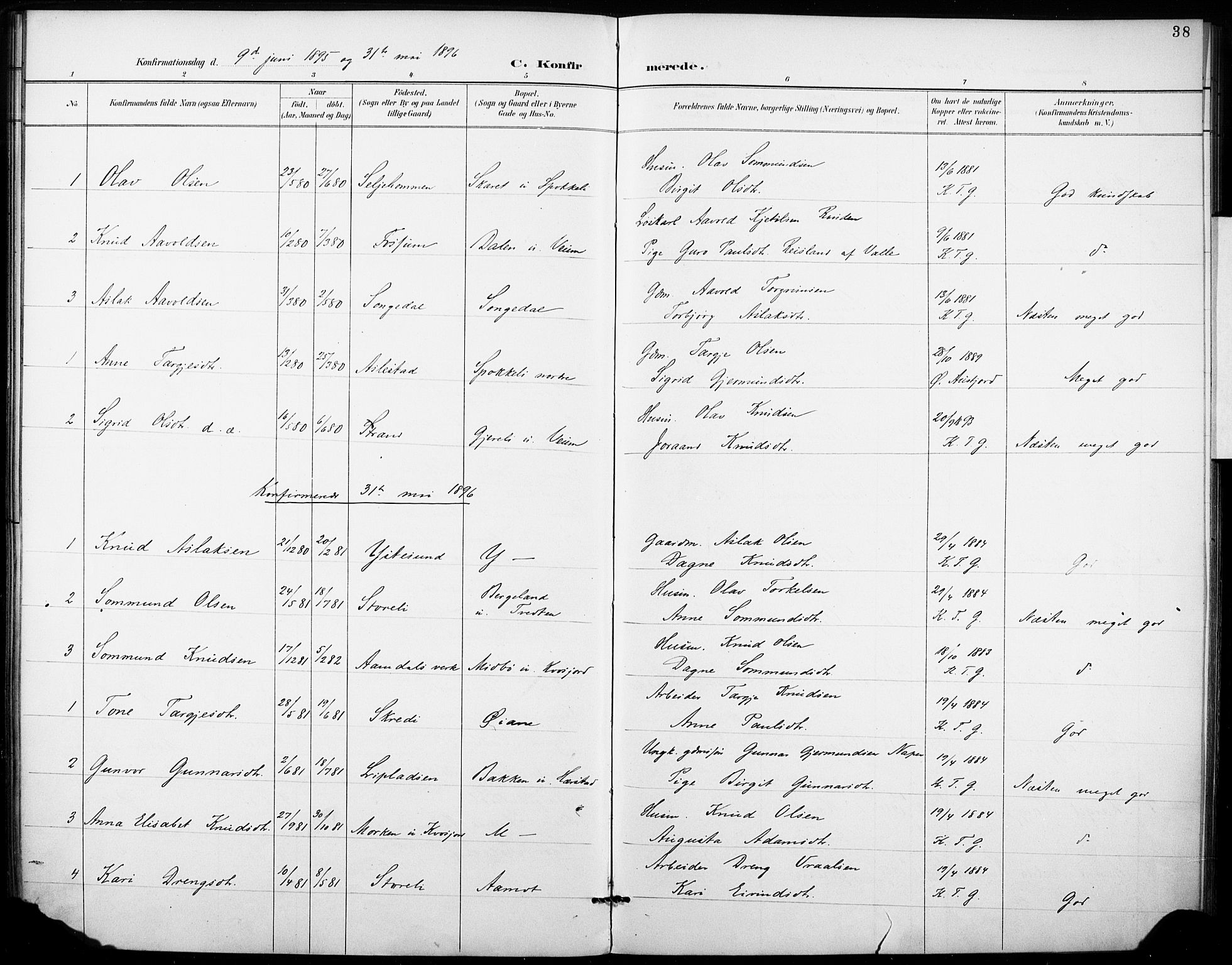 Fyresdal kirkebøker, SAKO/A-263/F/Fb/L0003: Parish register (official) no. II 3, 1887-1903, p. 38