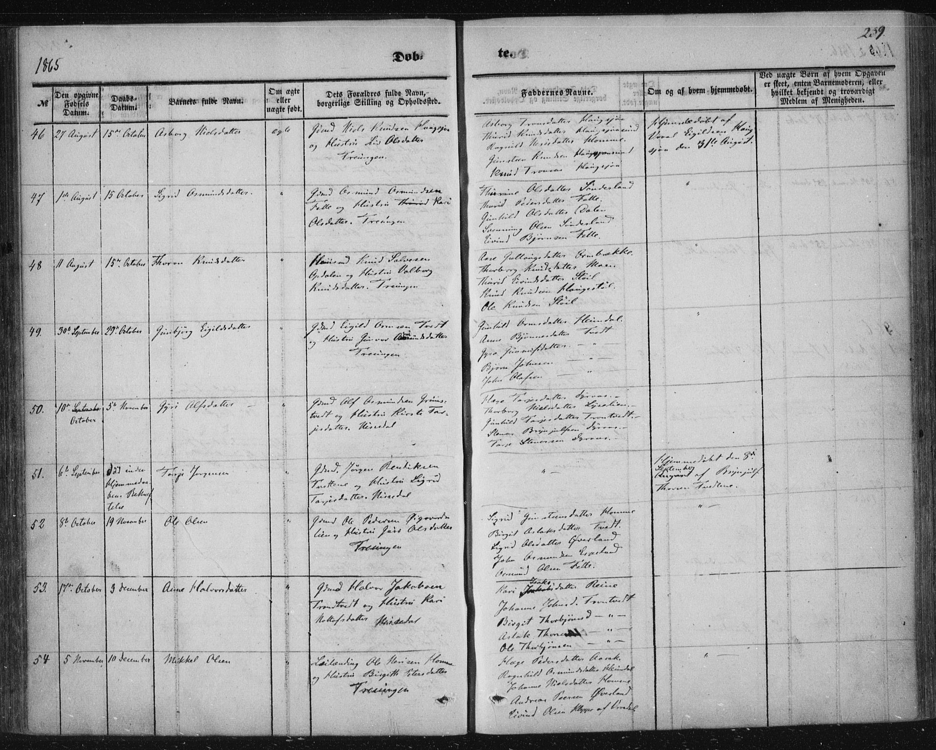 Nissedal kirkebøker, AV/SAKO-A-288/F/Fa/L0003: Parish register (official) no. I 3, 1846-1870, p. 238-239