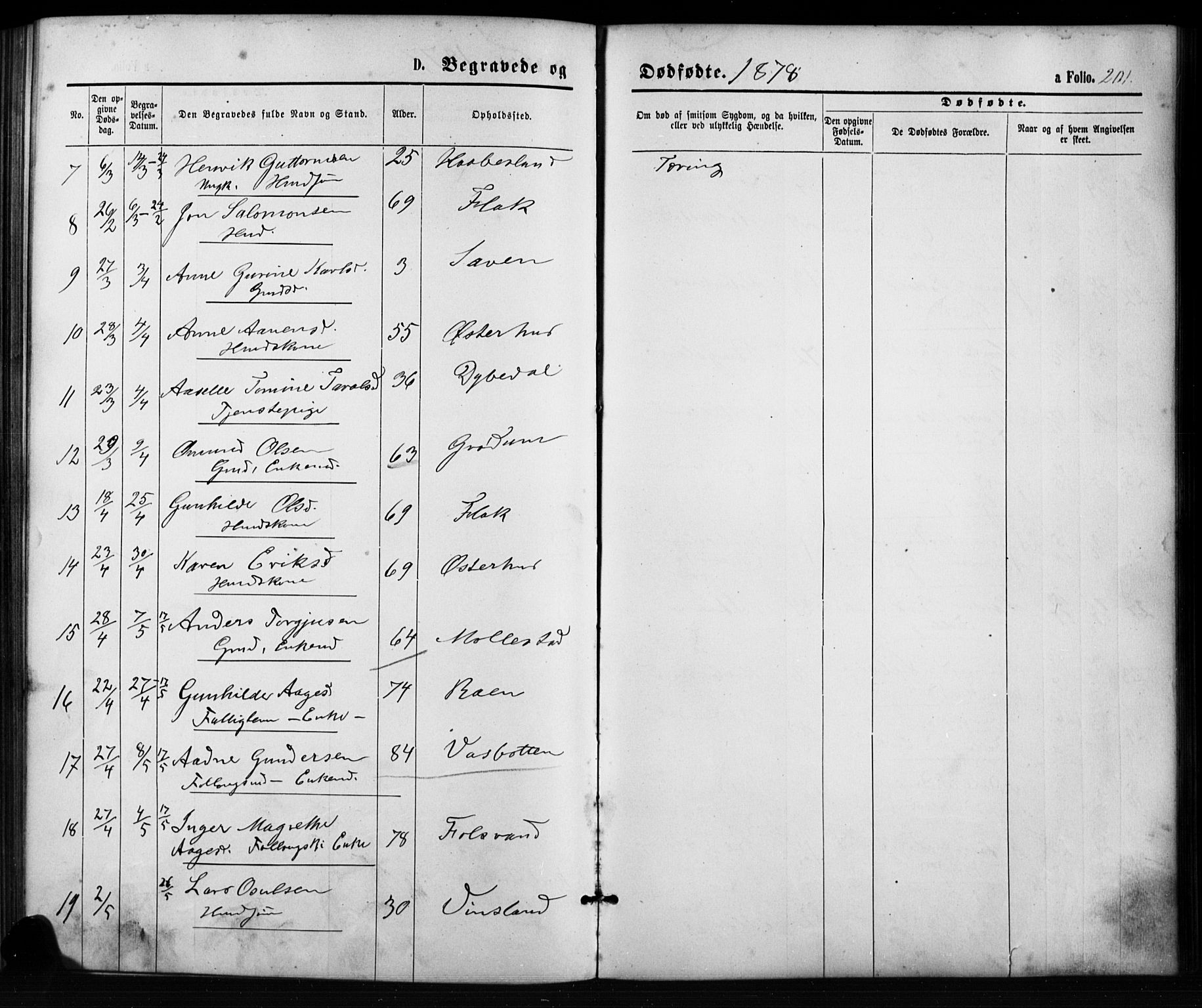 Birkenes sokneprestkontor, AV/SAK-1111-0004/F/Fb/L0003: Parish register (copy) no. B 3, 1876-1892, p. 201