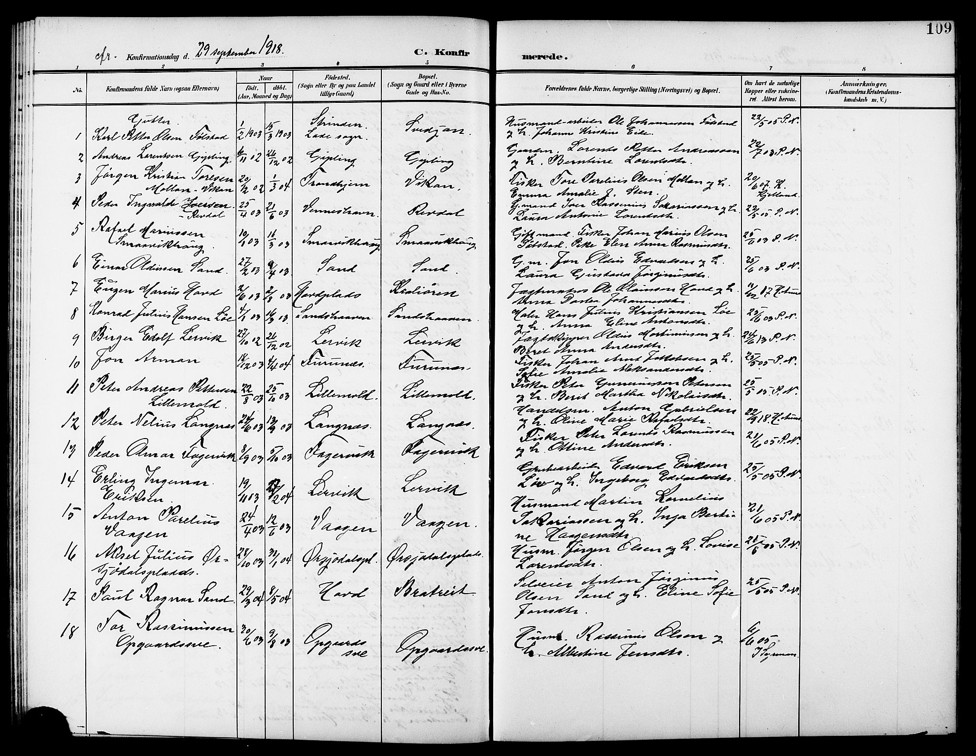 Ministerialprotokoller, klokkerbøker og fødselsregistre - Nord-Trøndelag, SAT/A-1458/744/L0424: Parish register (copy) no. 744C03, 1906-1923, p. 109